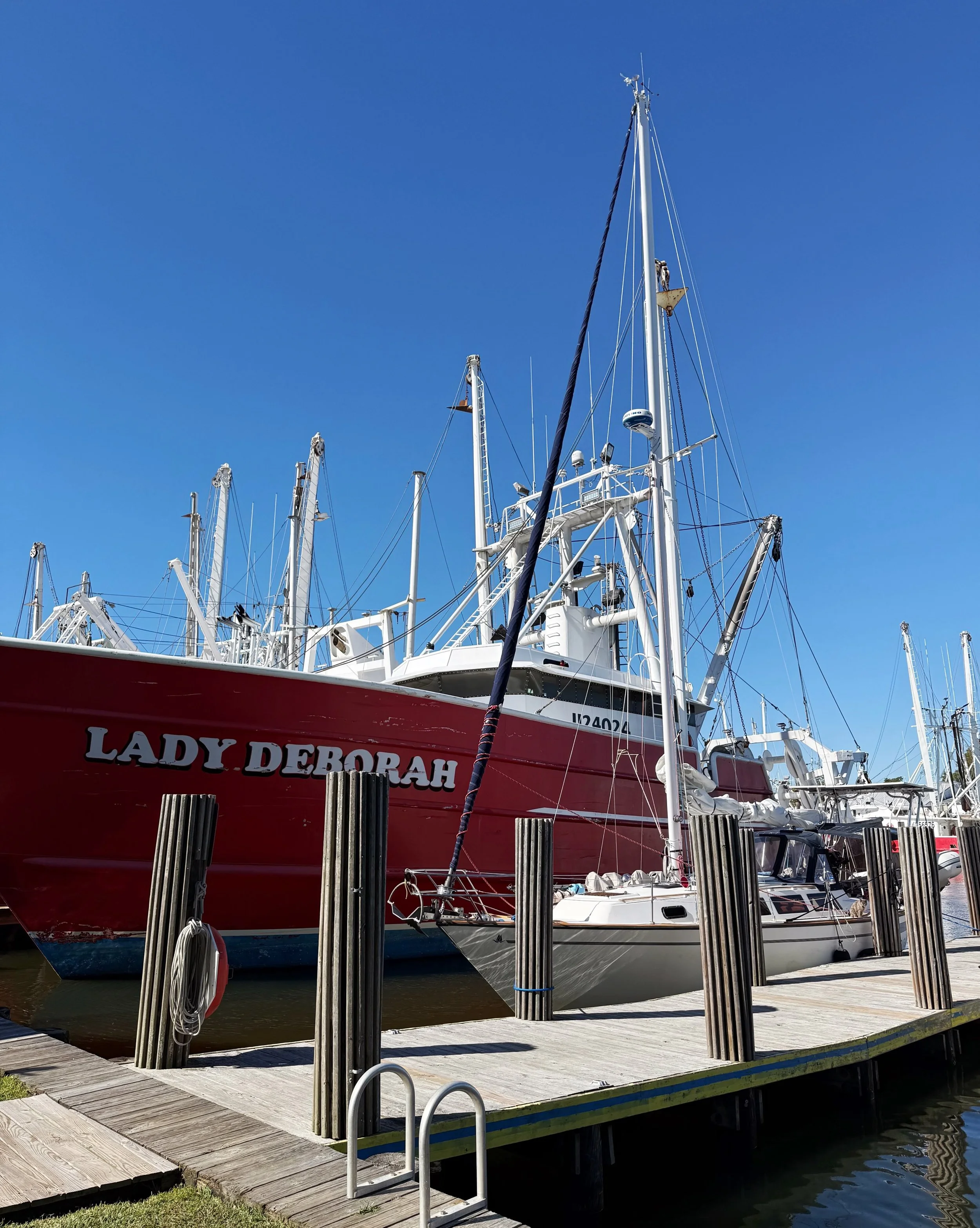 Day 152 &bull; This trip is ending on such a high note! We had an absolutely beautiful sail today - fast and comfortable. We arrived in Oriental before lunch and were able to grab a spot on the free town dock. The weather is beautiful, so sunny and w