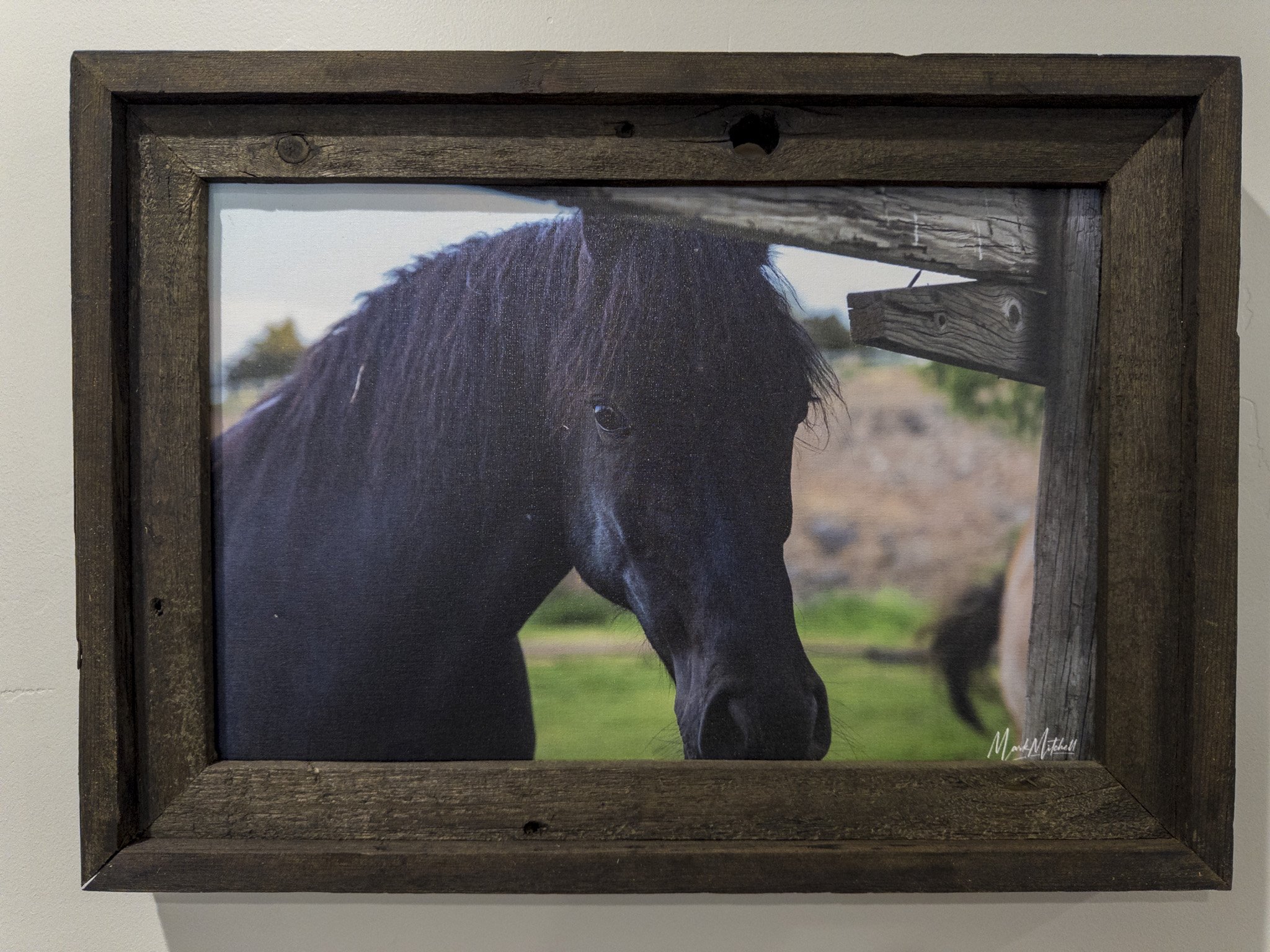 Curiosity | Southern Idaho Landscape Fine Art Print