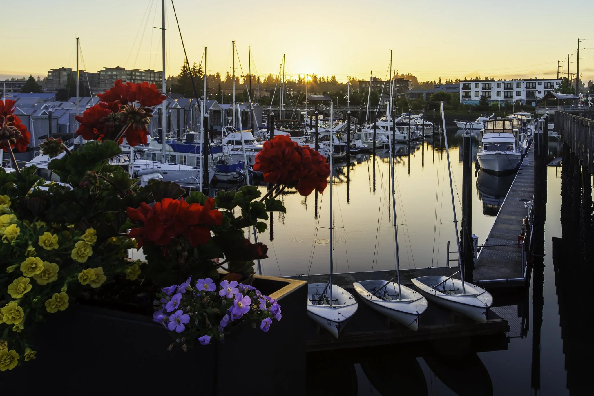 Sunrise at low tide at Percival Landing | Western Washington Landscape Fine Art Print