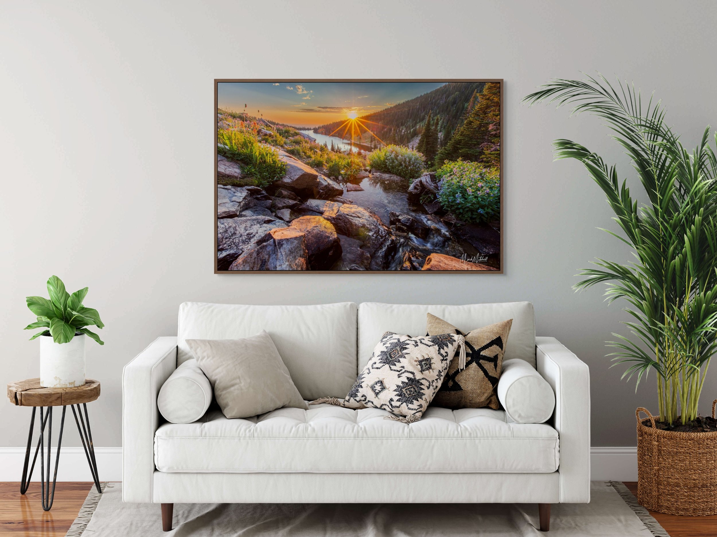 creek and wildflowers above lake cleveland-full.jpg