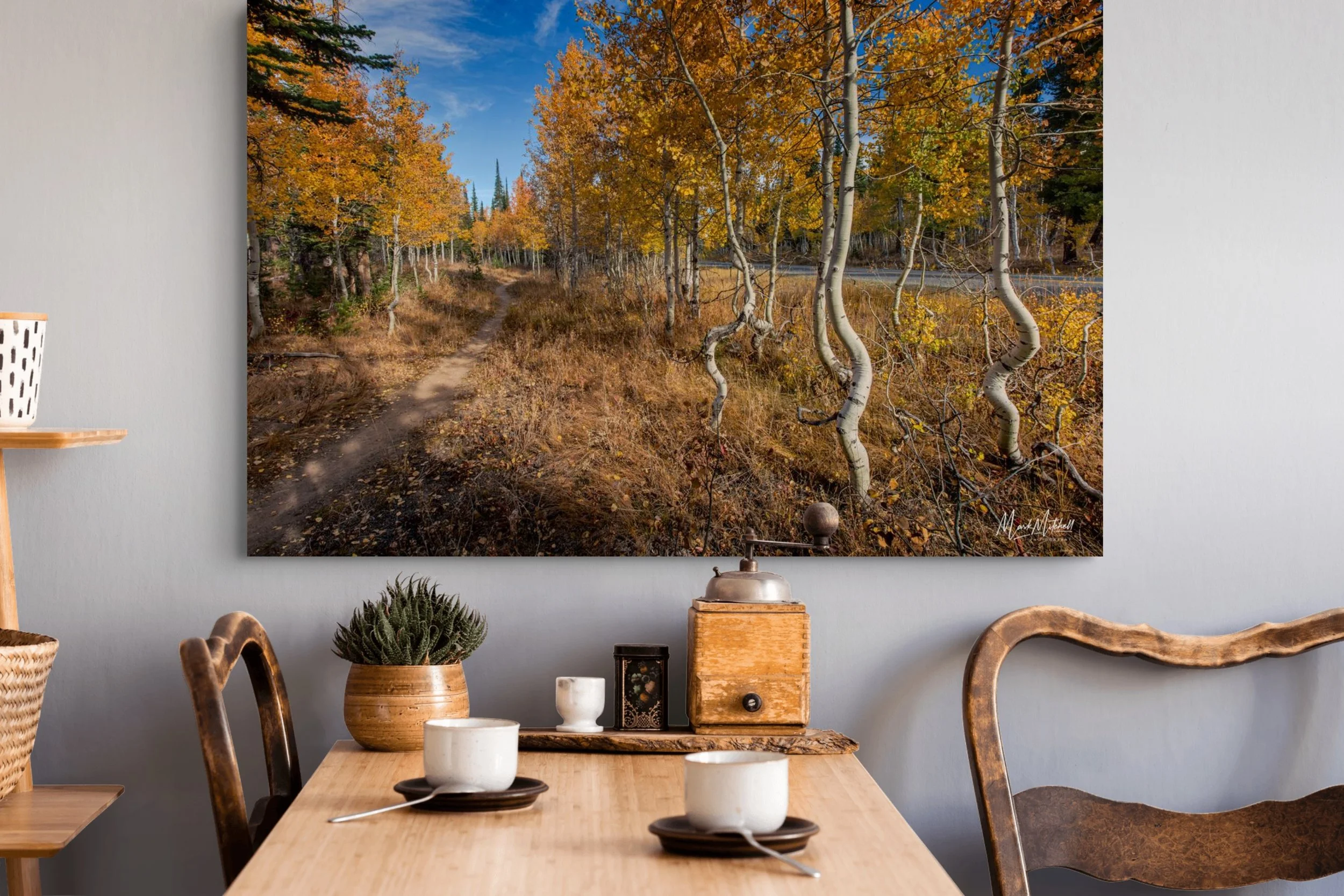Squiggly Aspens in the South Hills_4-full.jpg