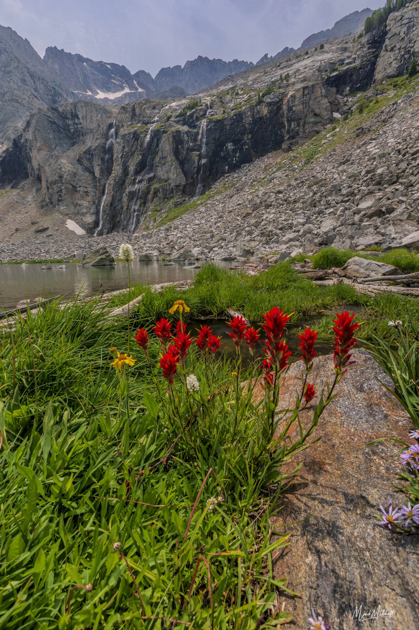 Indian Paintbrush at Kane Lake