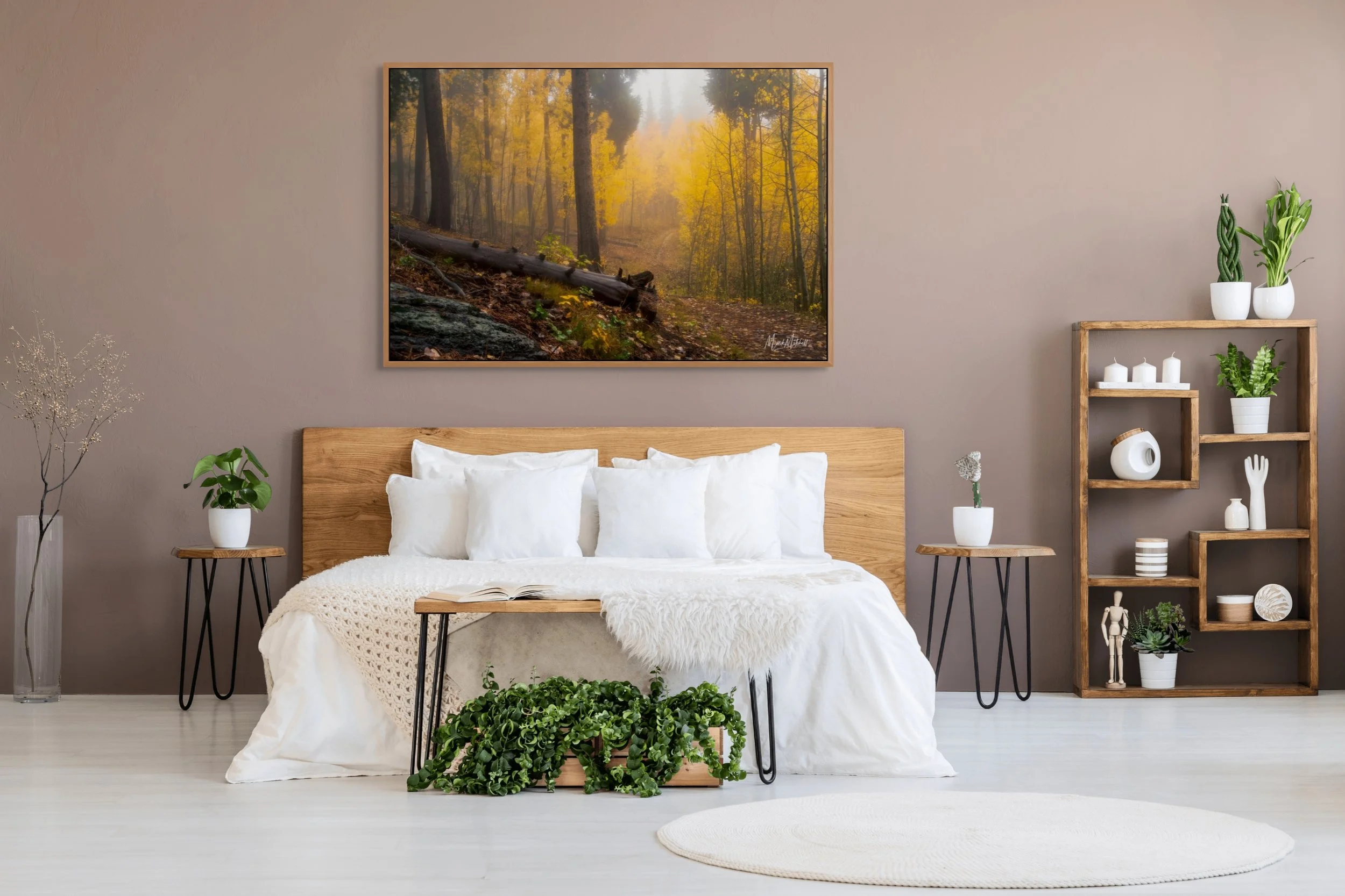 misty autumn trail-full (2).jpg