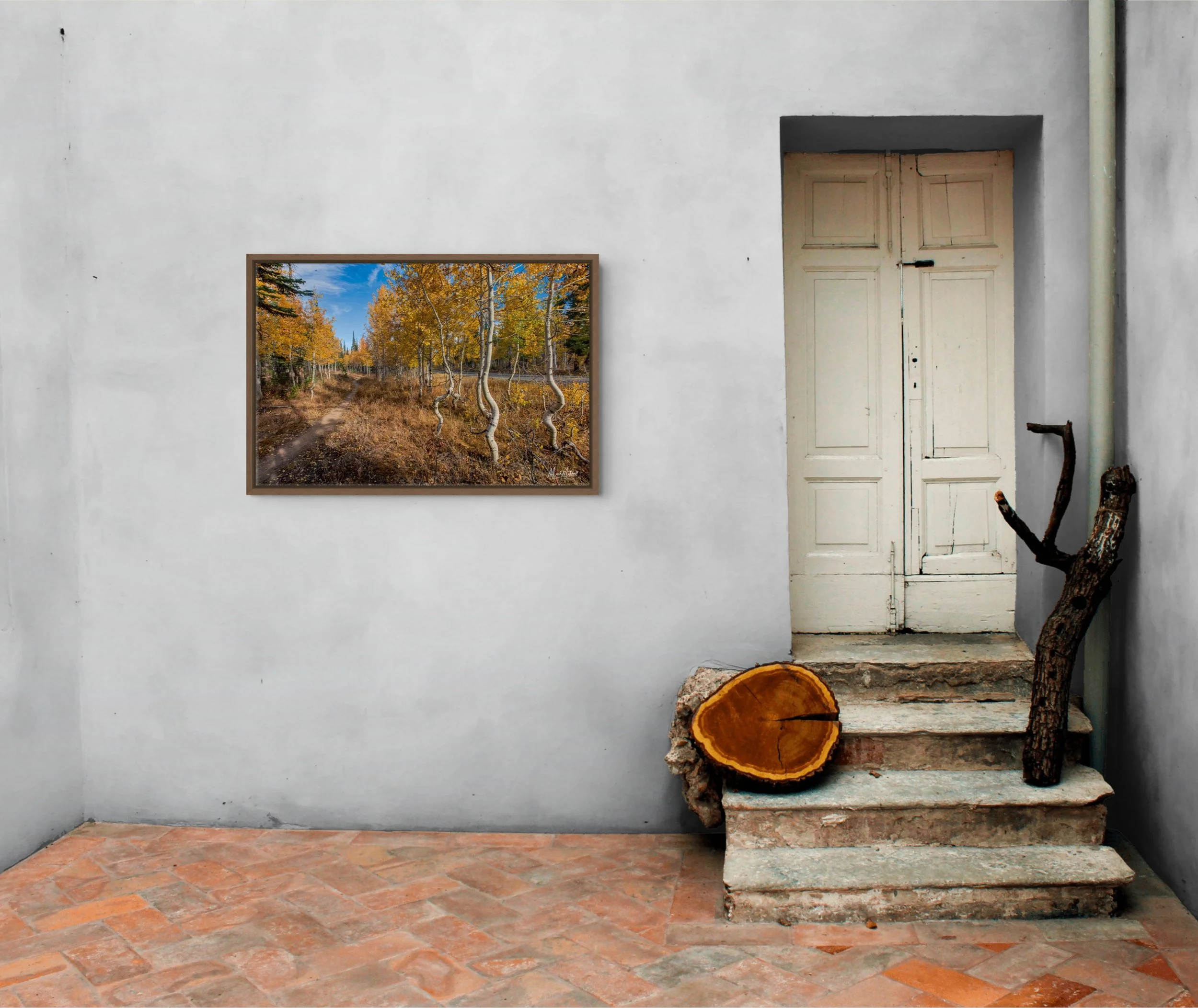 Squiggly Aspens in the South Hills_3-full.jpg