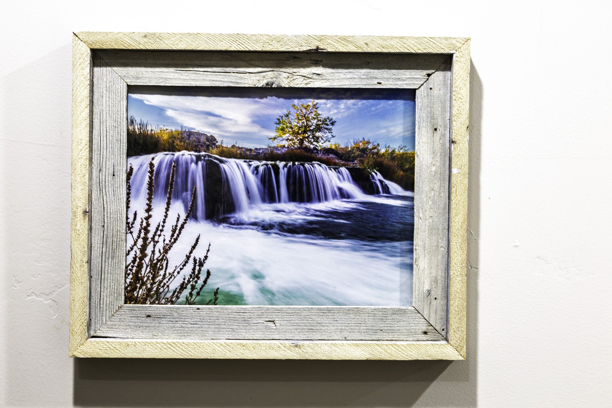 20250801-_Q9A6013.jpg (Copy)