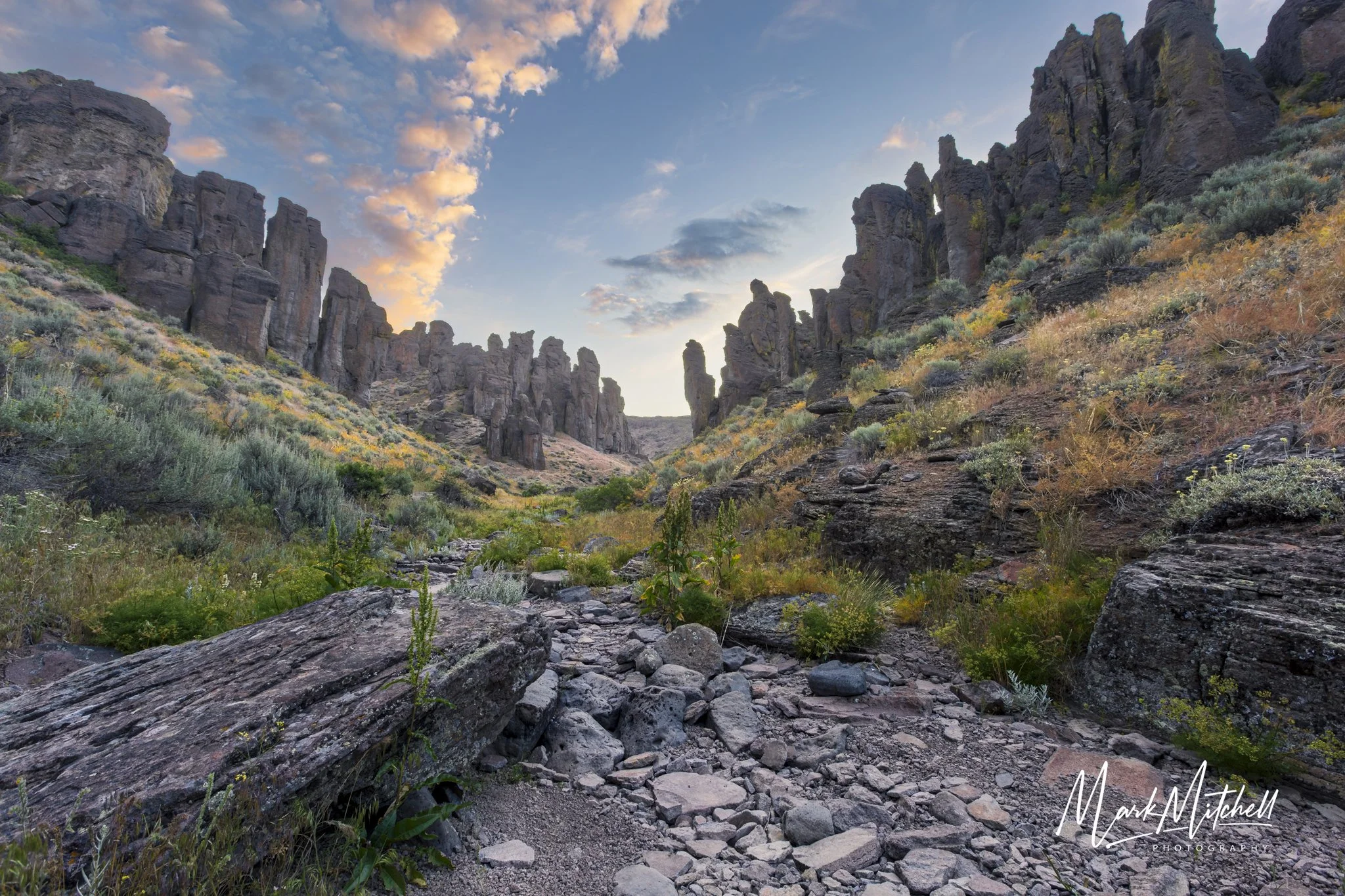_Q9A4241-HDR.jpg