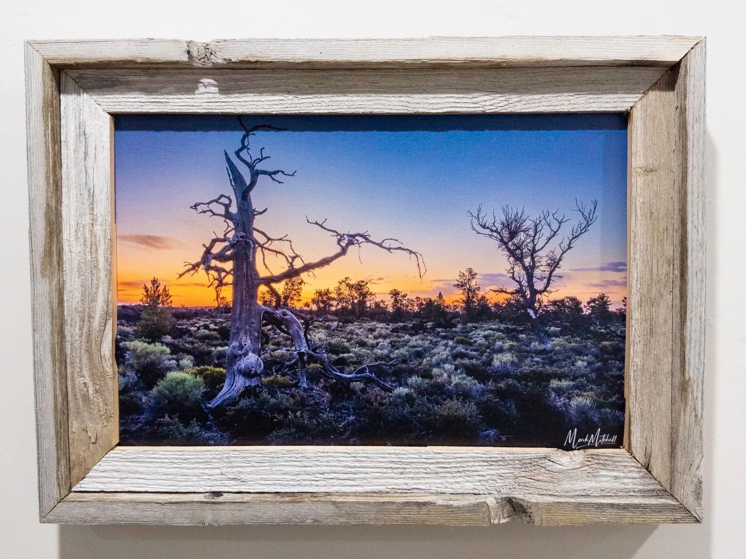 20251004-APC_2017.jpg (Copy)