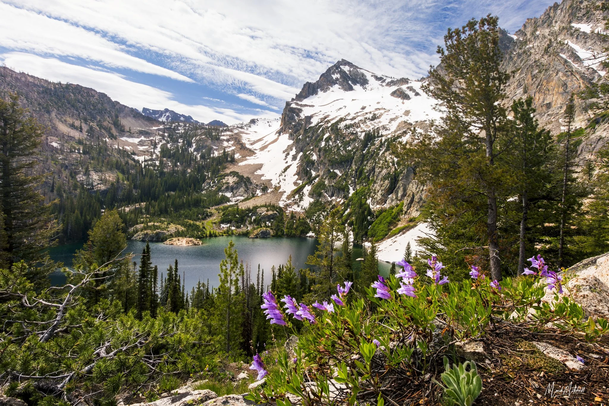 Alpine Lake View | Stanley, Idaho