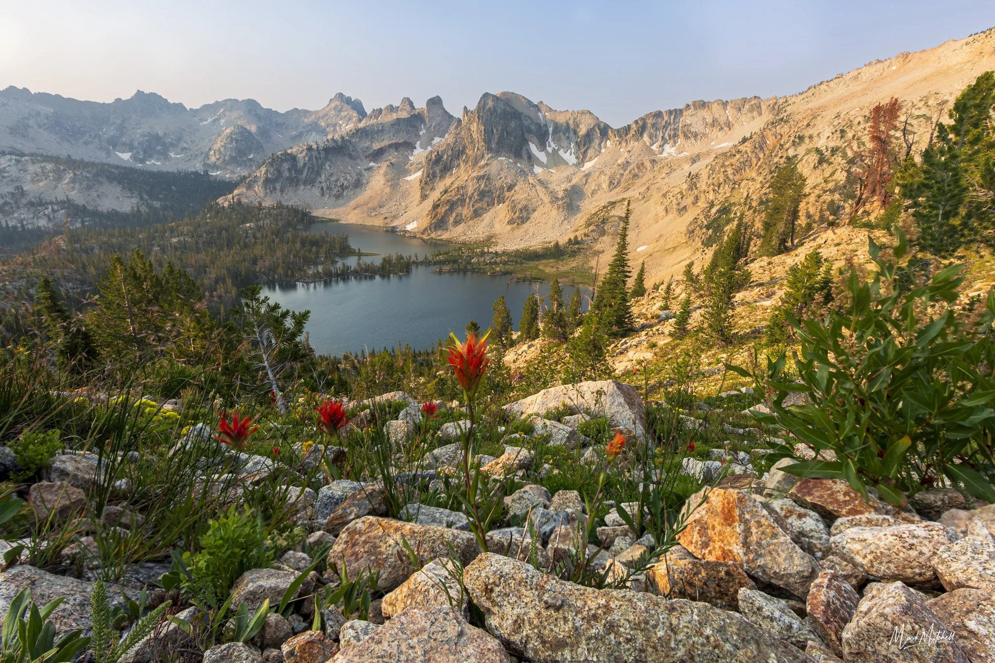 Indian Paintbrush Overlooking Twin Lakes