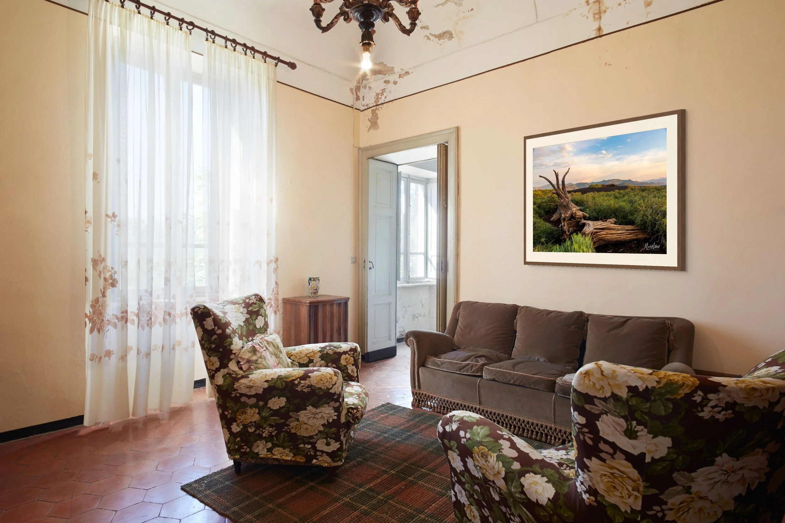 weathered fallen tree at inferno cone-full (4).jpg