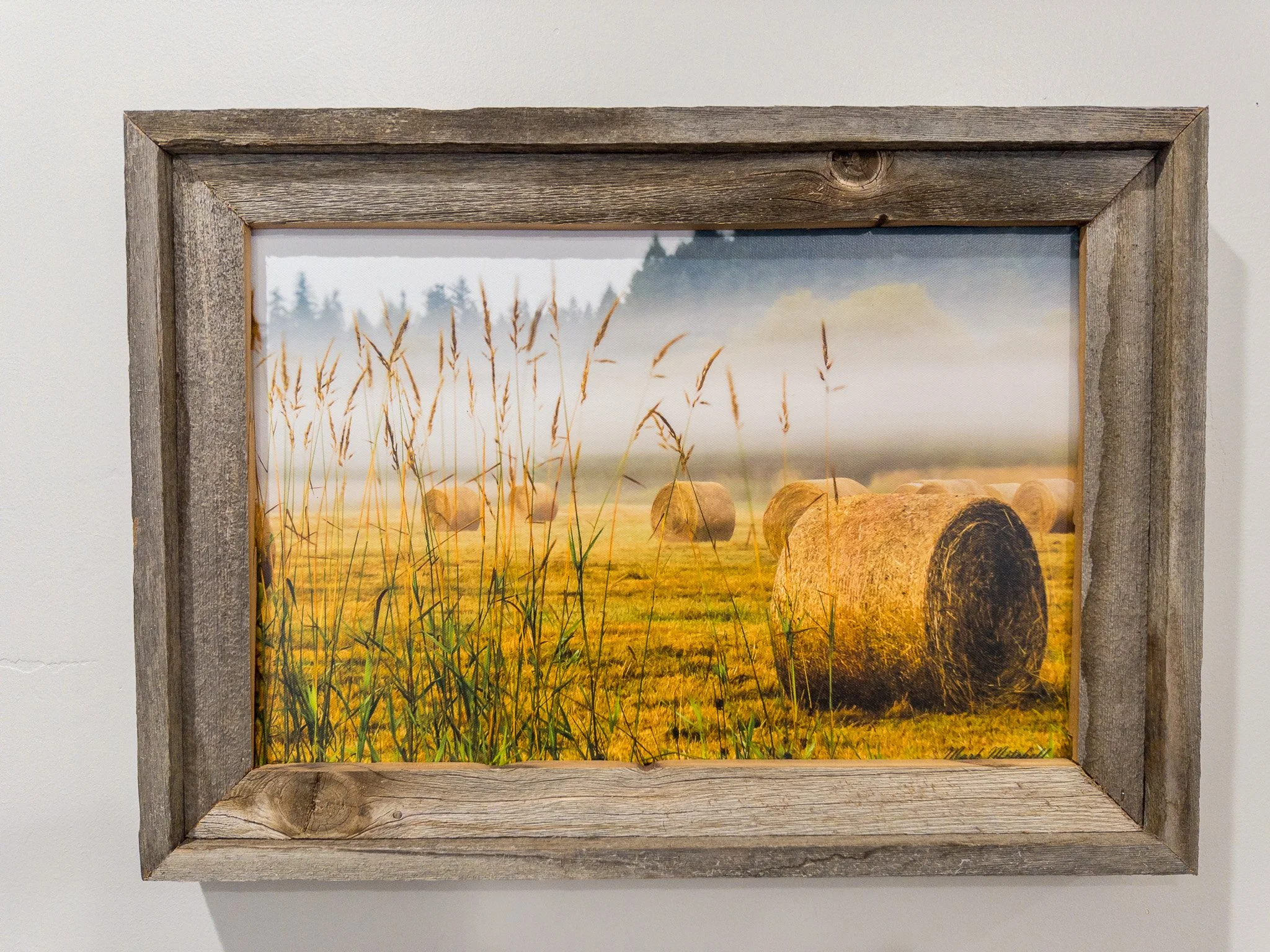 Rolling Fog | Western Washington Landscape Fine Art Print