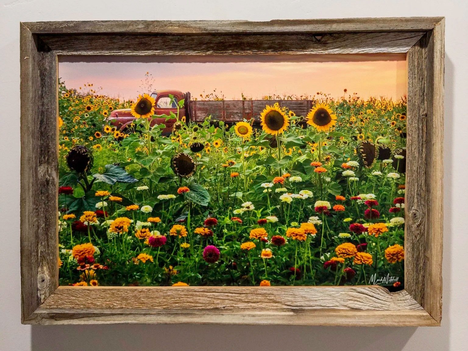 20250913-APC_2001.jpg (Copy)