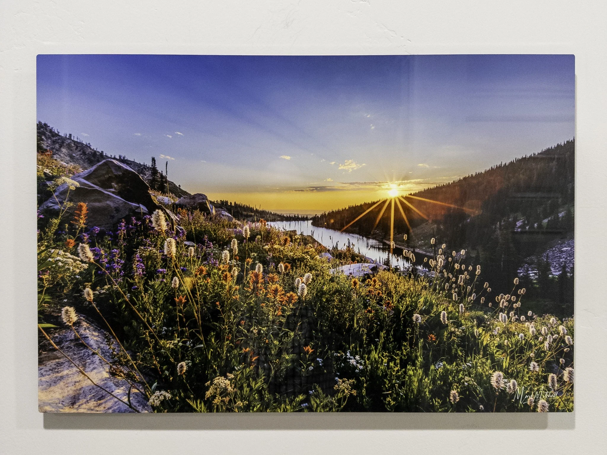Wildflowers at Lake Cleveland | Southern Idaho Landscape Fine Art Print