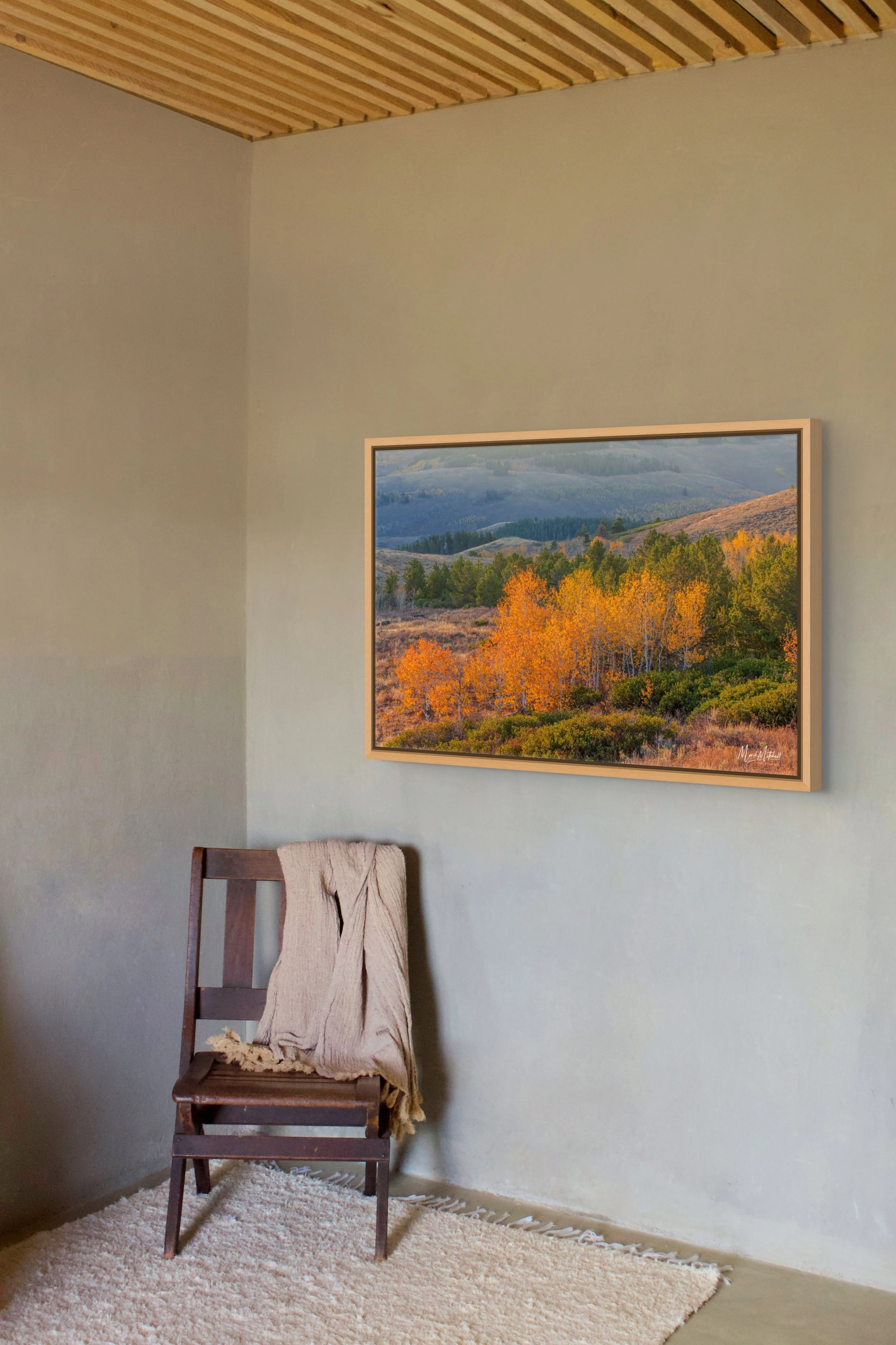 Pines and Aspens in the South Hills_9-full.jpg