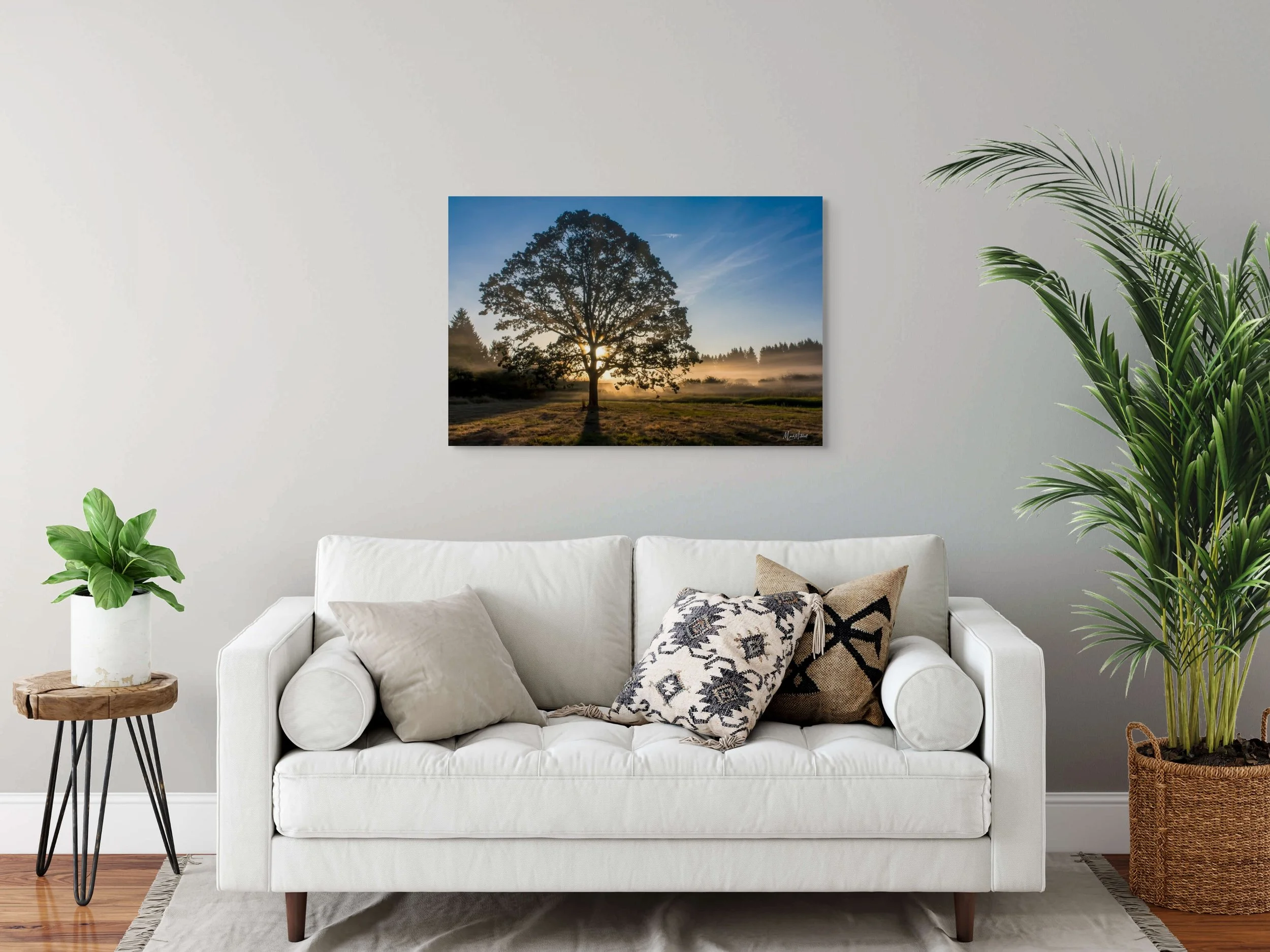 garry oak at mcallister park-full.jpg