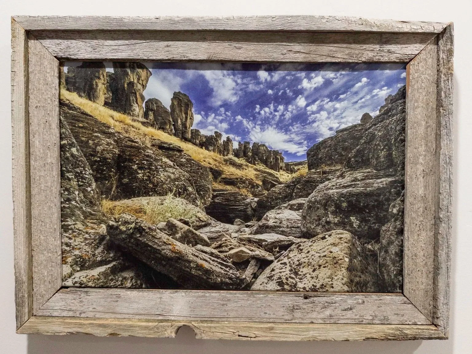 20250802-APC_1886.jpg (Copy)