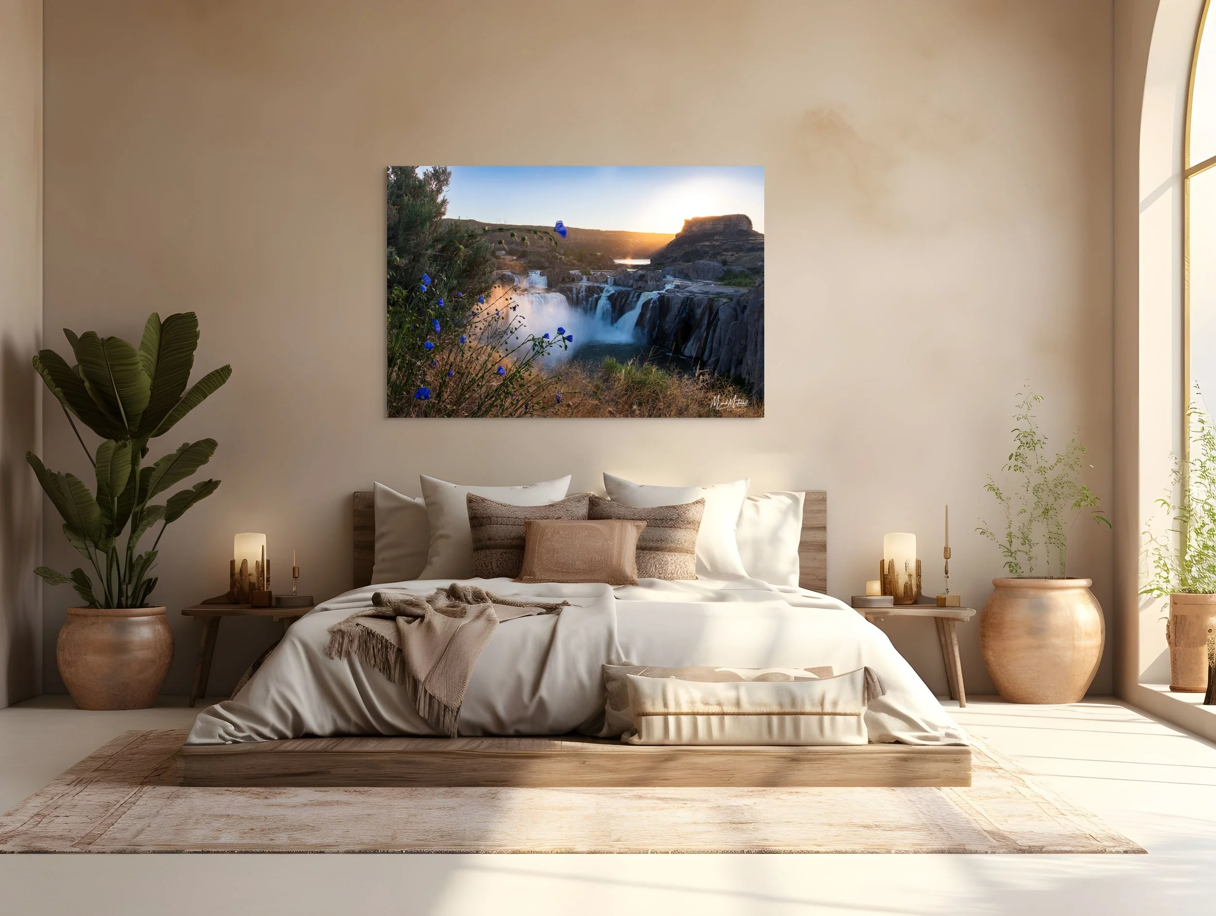 blue_flax_at_shoshone_falls (1).jpg