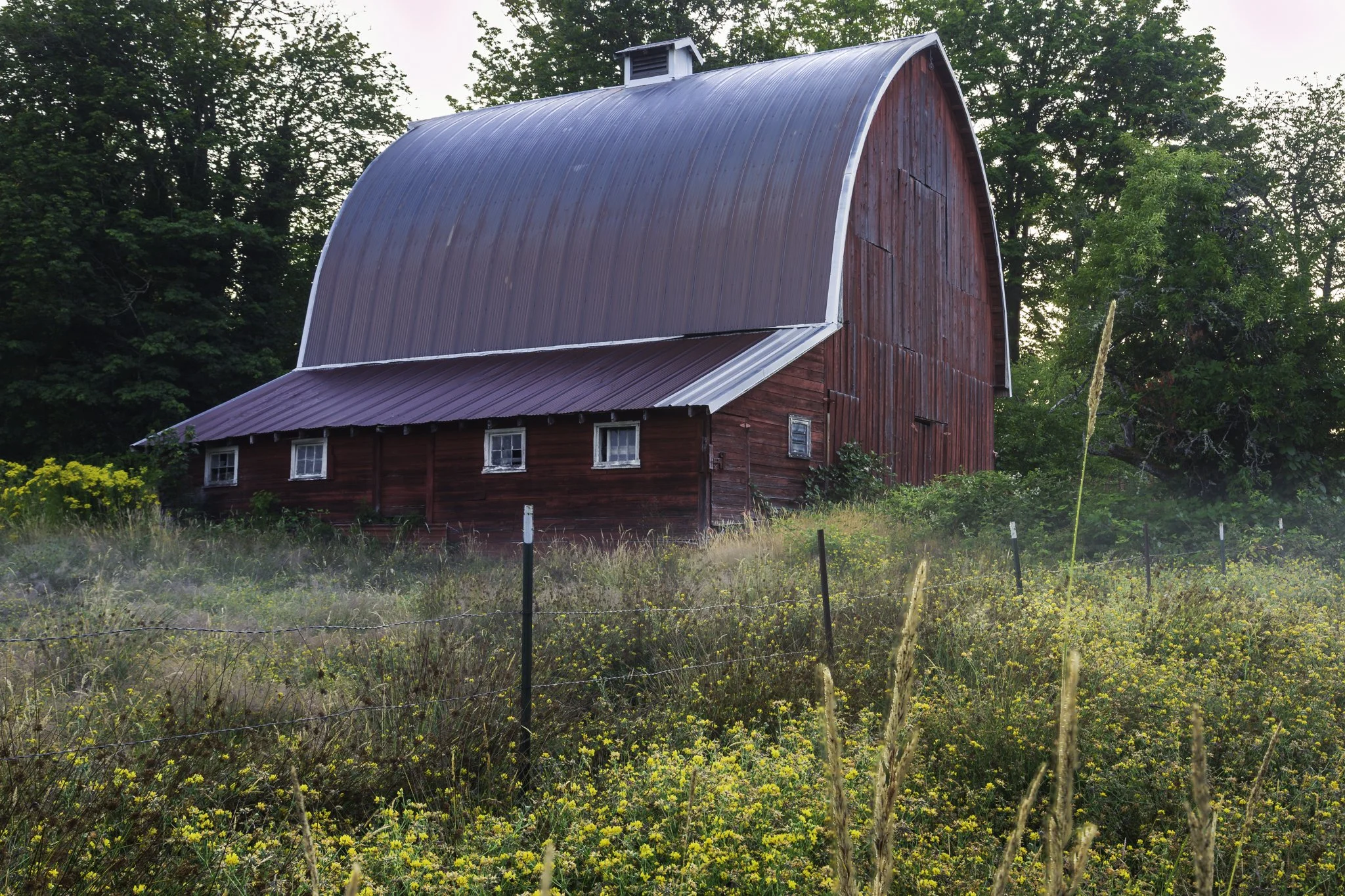 Red Barn | Western Washington Landscape Fine Art Print
