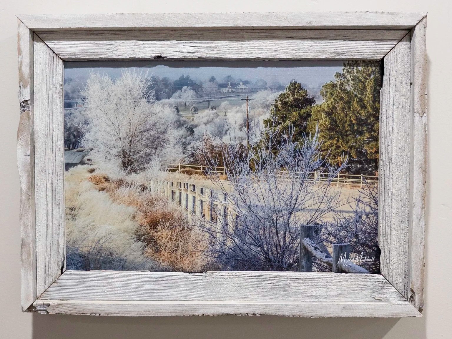 20250802-APC_1890.jpg (Copy)