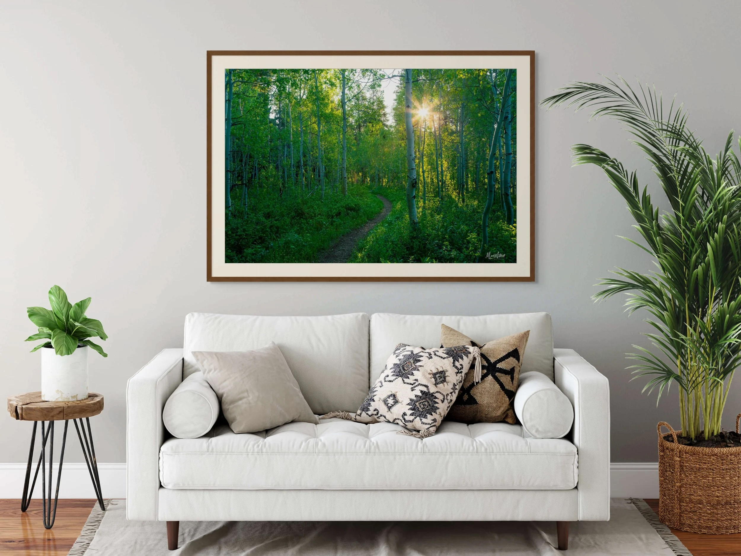 spring_aspens (4).jpg