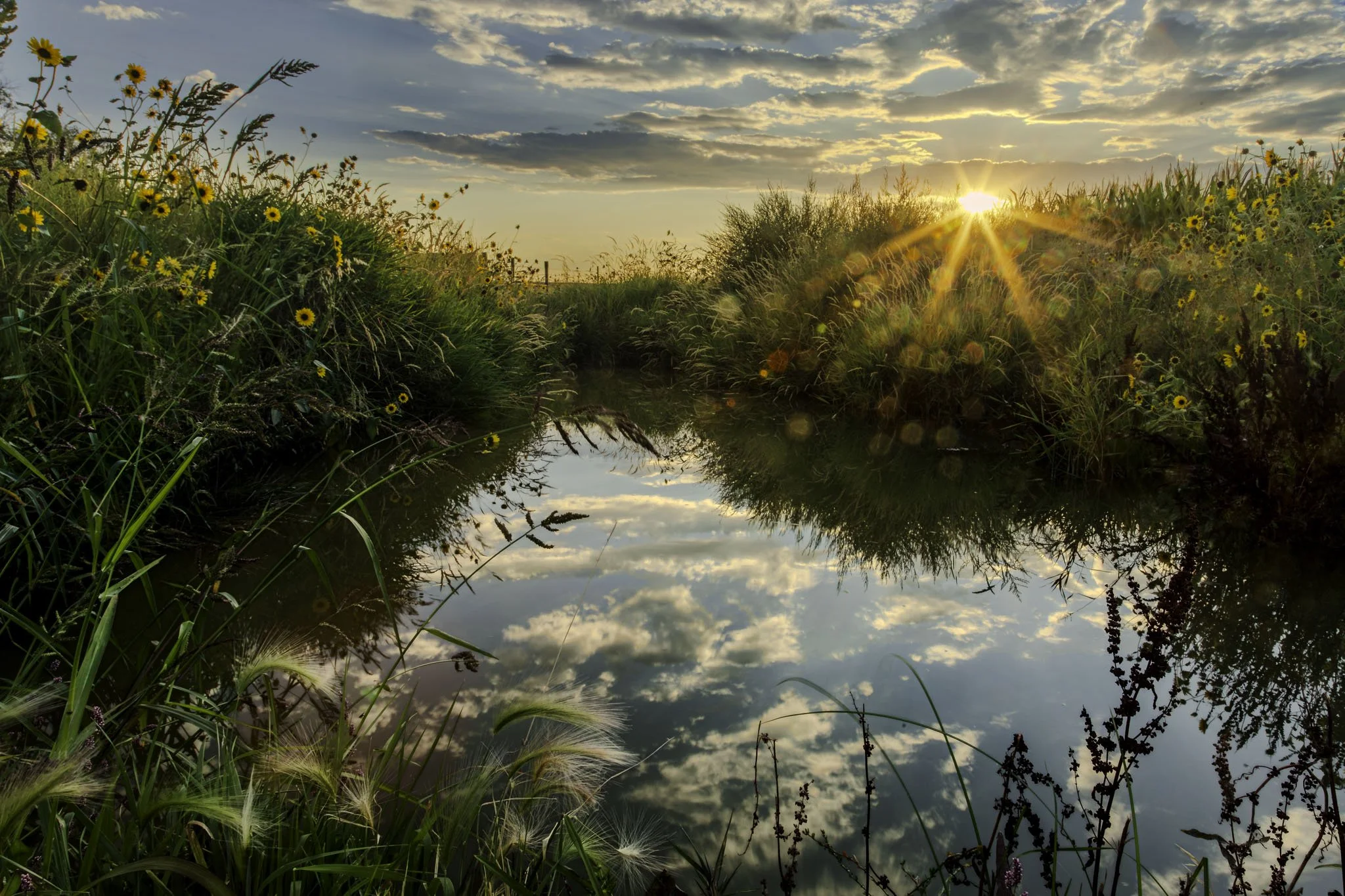 20250901-_Q9A6815-HDR.jpg