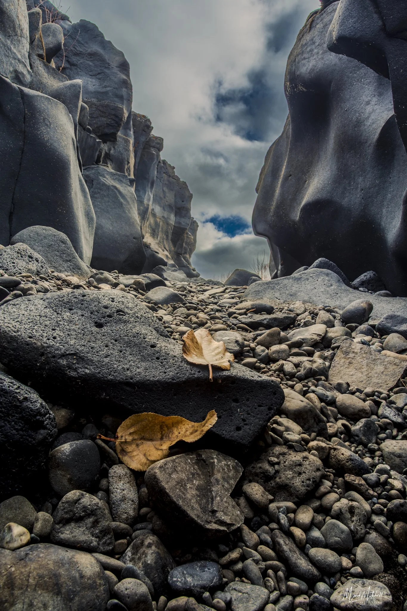 Fall leaves at Black Magic Canyon | Shoshone, Idaho