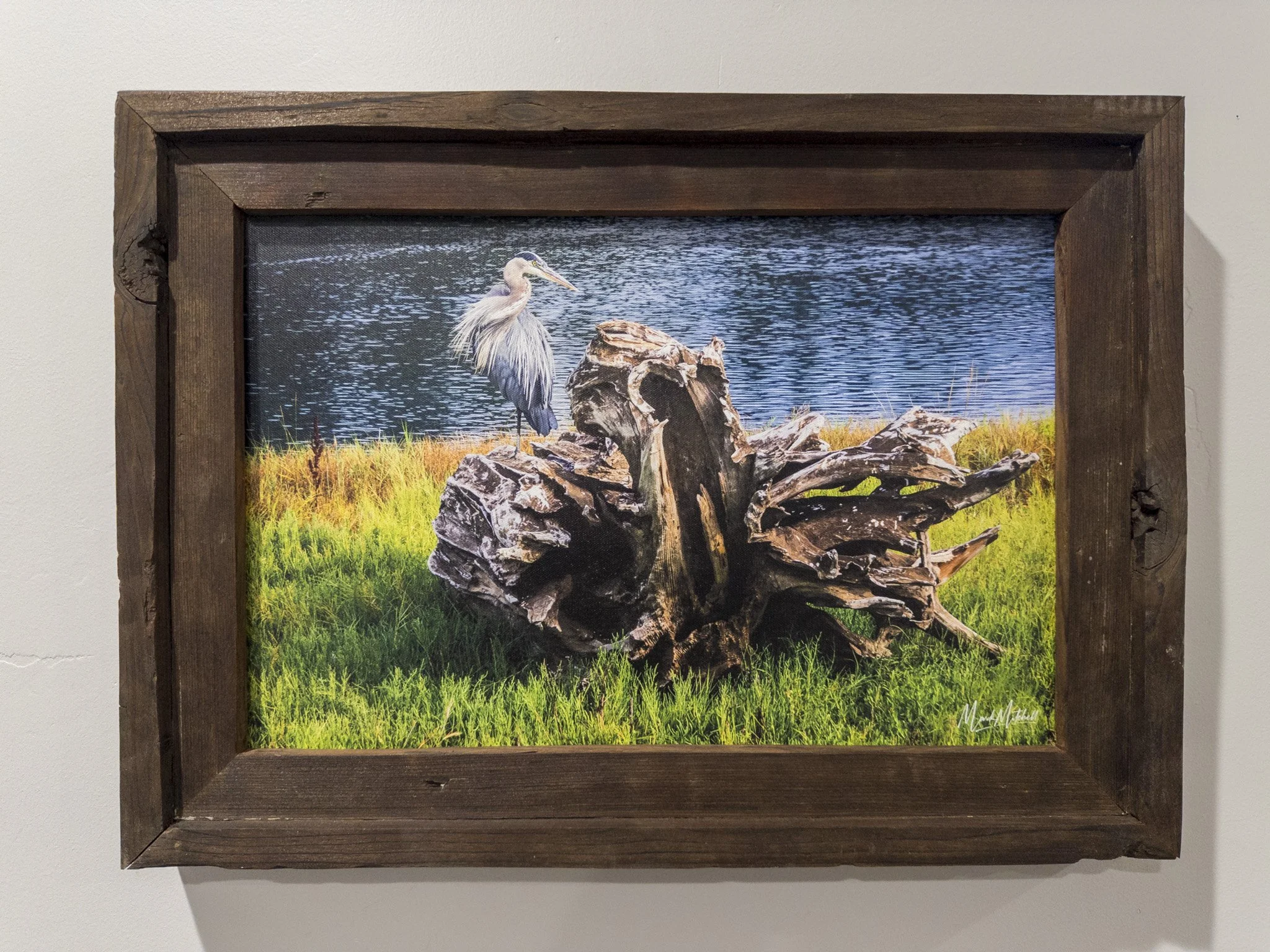 Blue Heron | Western Washington Landscape Fine Art Print