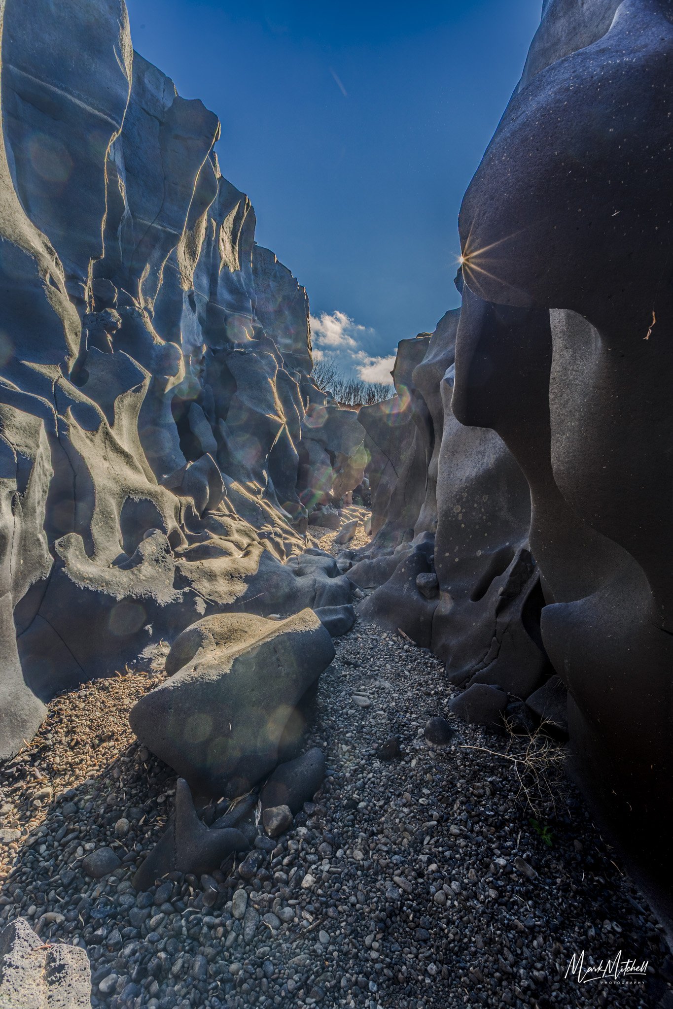 Black Magic Canyon Sunstar.jpg