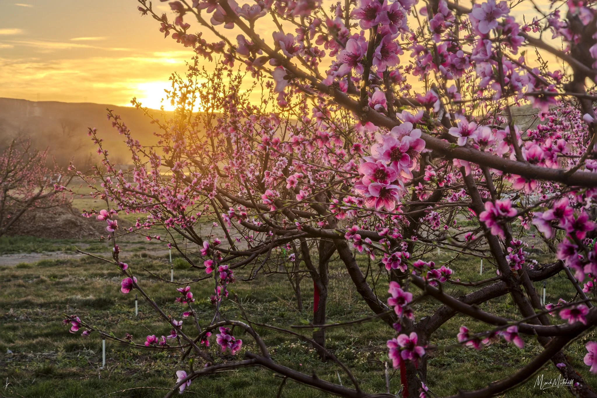 2026-03-25 11-39-15 (A,R8,S4).jpg