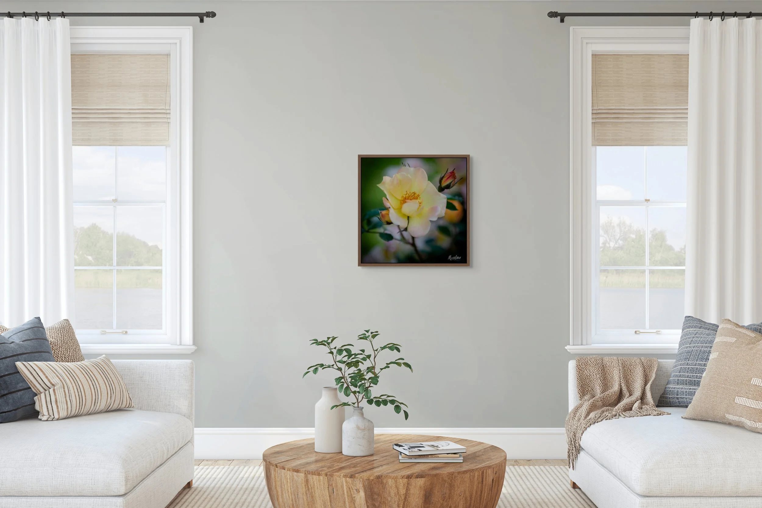 harison's yellow rose-full (2).jpg