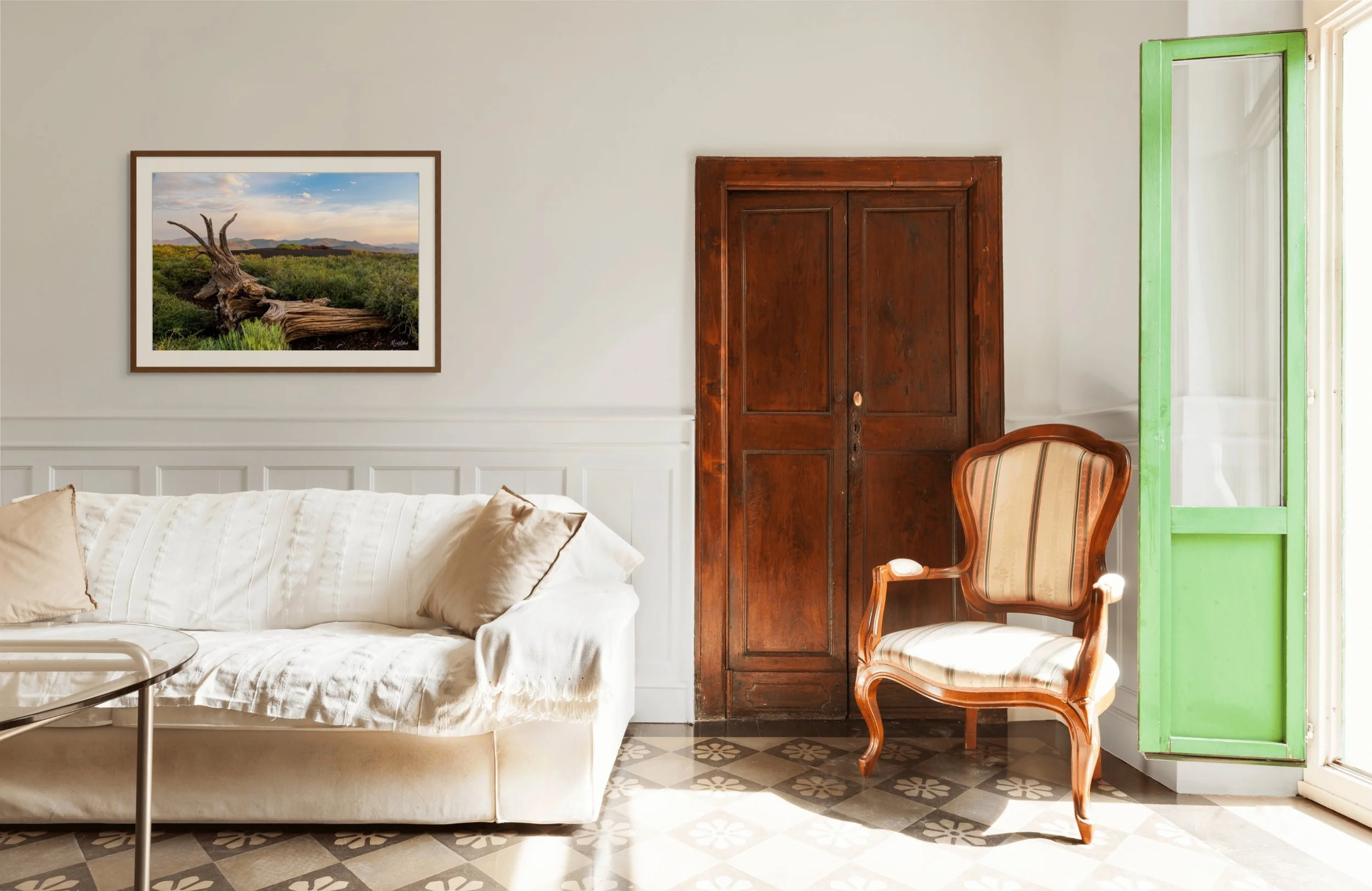 weathered fallen tree at inferno cone-full.jpg