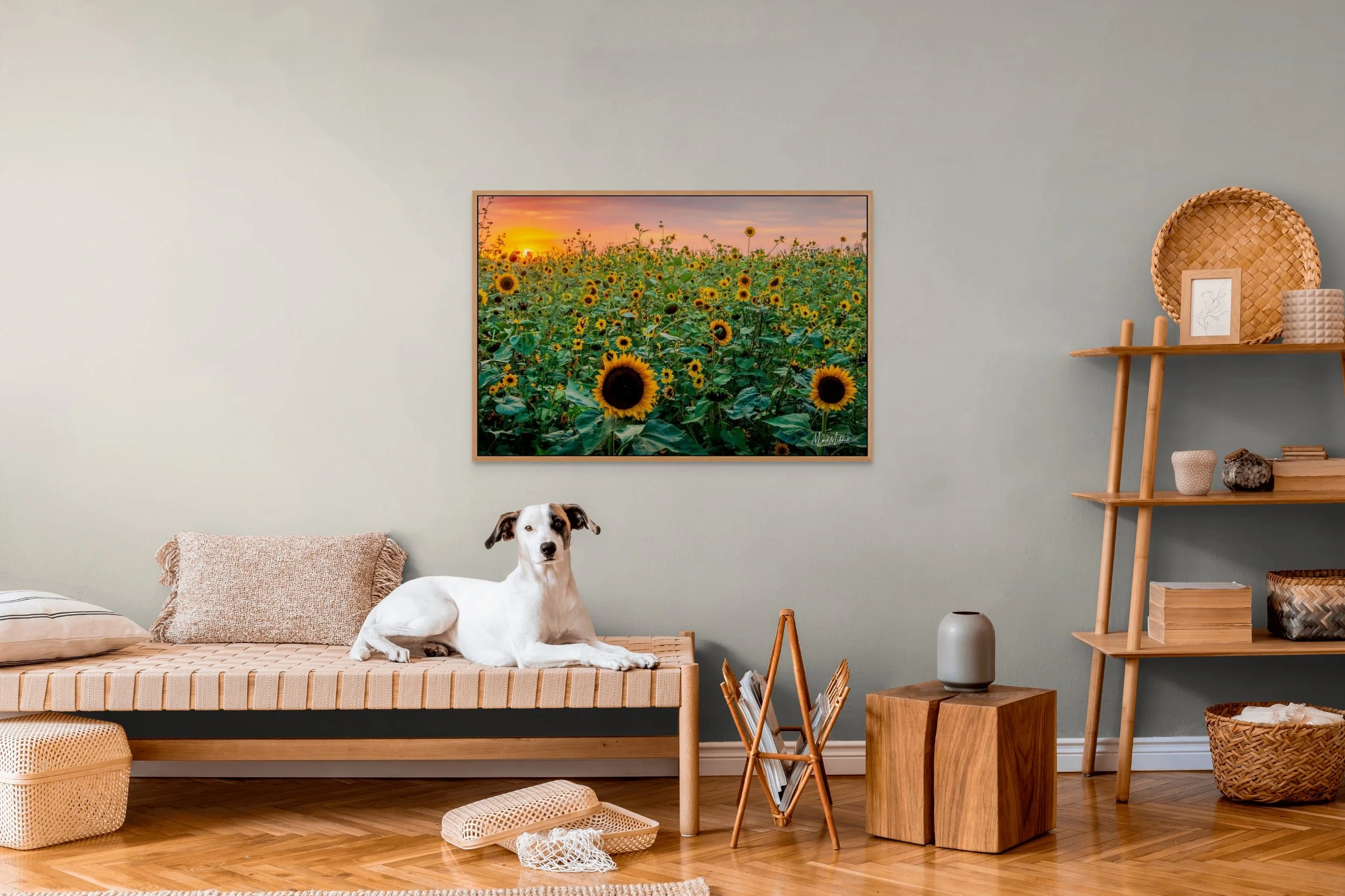 sunflowers-full (1).jpg