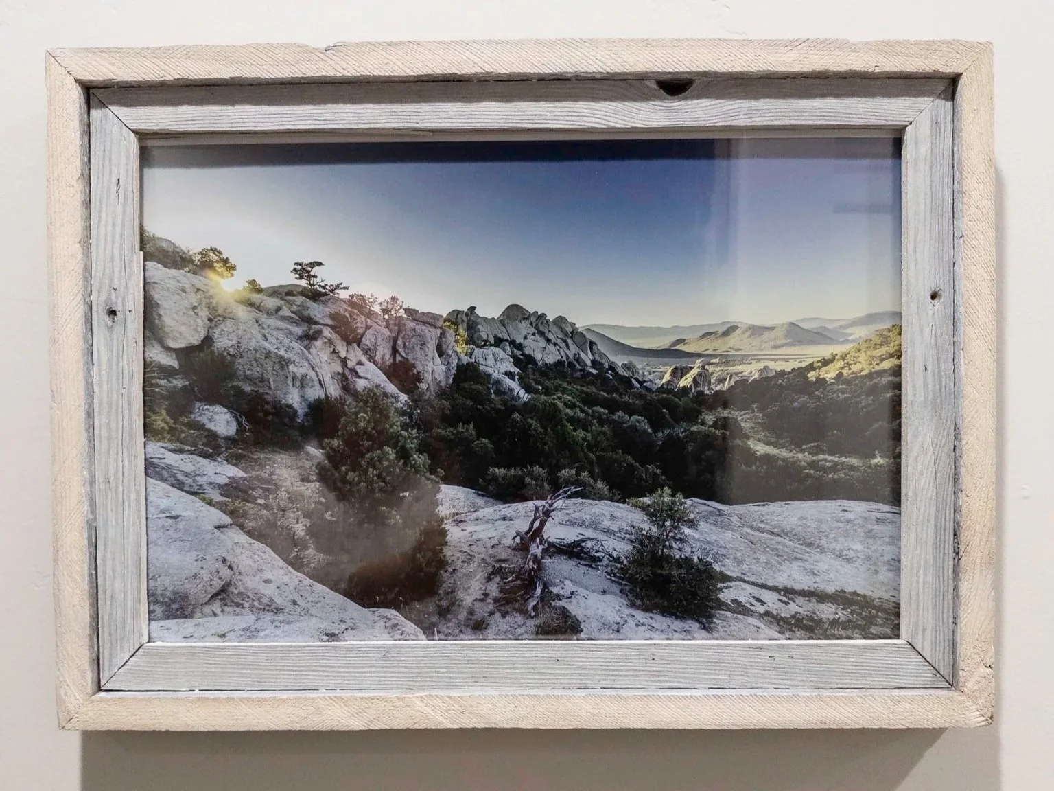 20250802-APC_1893.jpg (Copy)