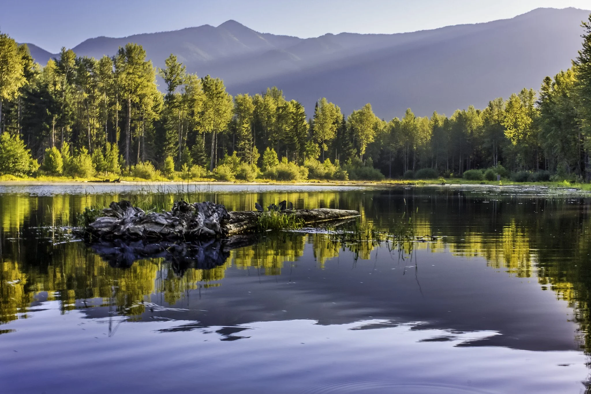 Ross Lake North Shore | Northern Washington Landscape Fine Art Print