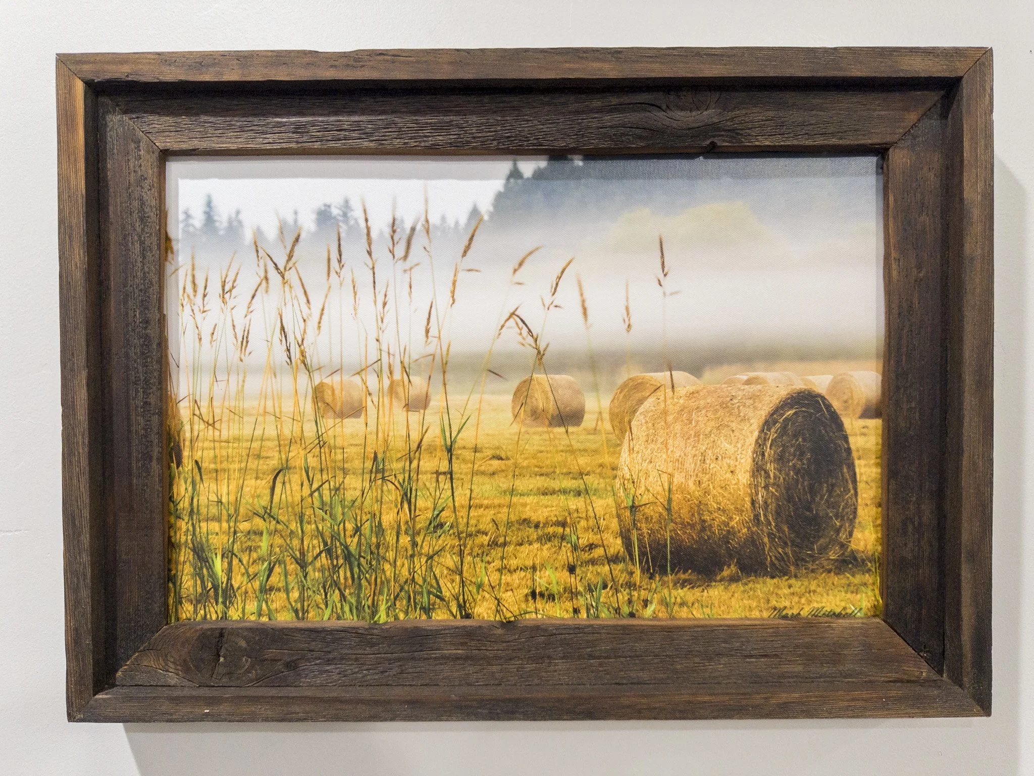 Rolling Fog | Western Washington Landscape Fine Art Print