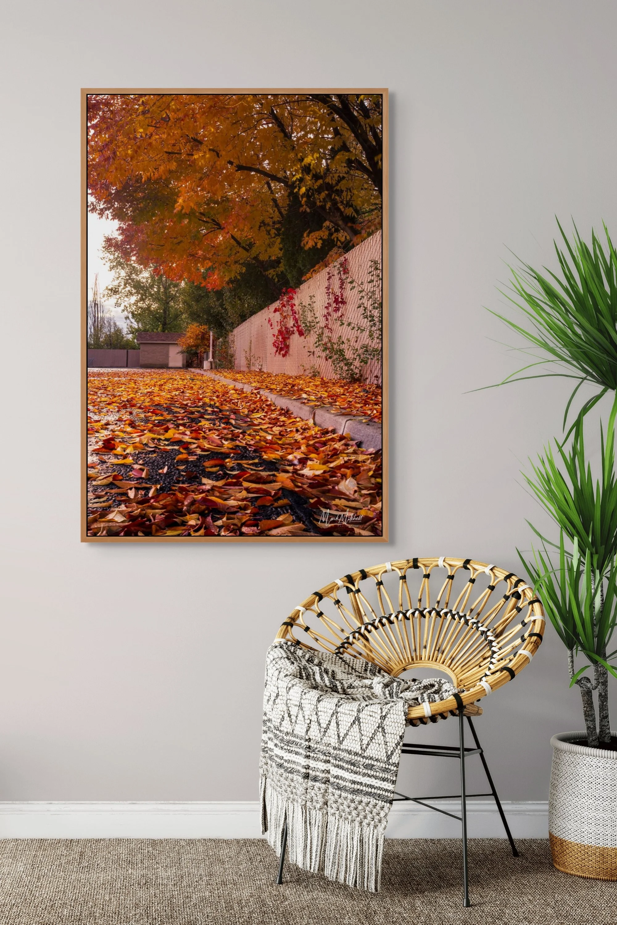 rainy neighborhood fall leaves-full (2).jpg
