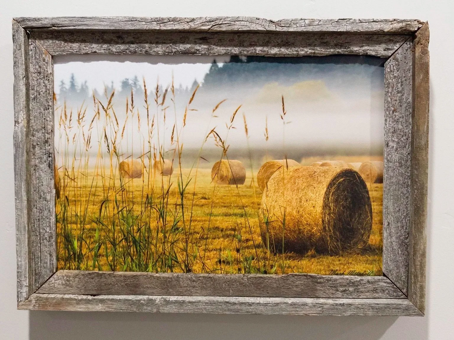 20250802-APC_1874.jpg (Copy)