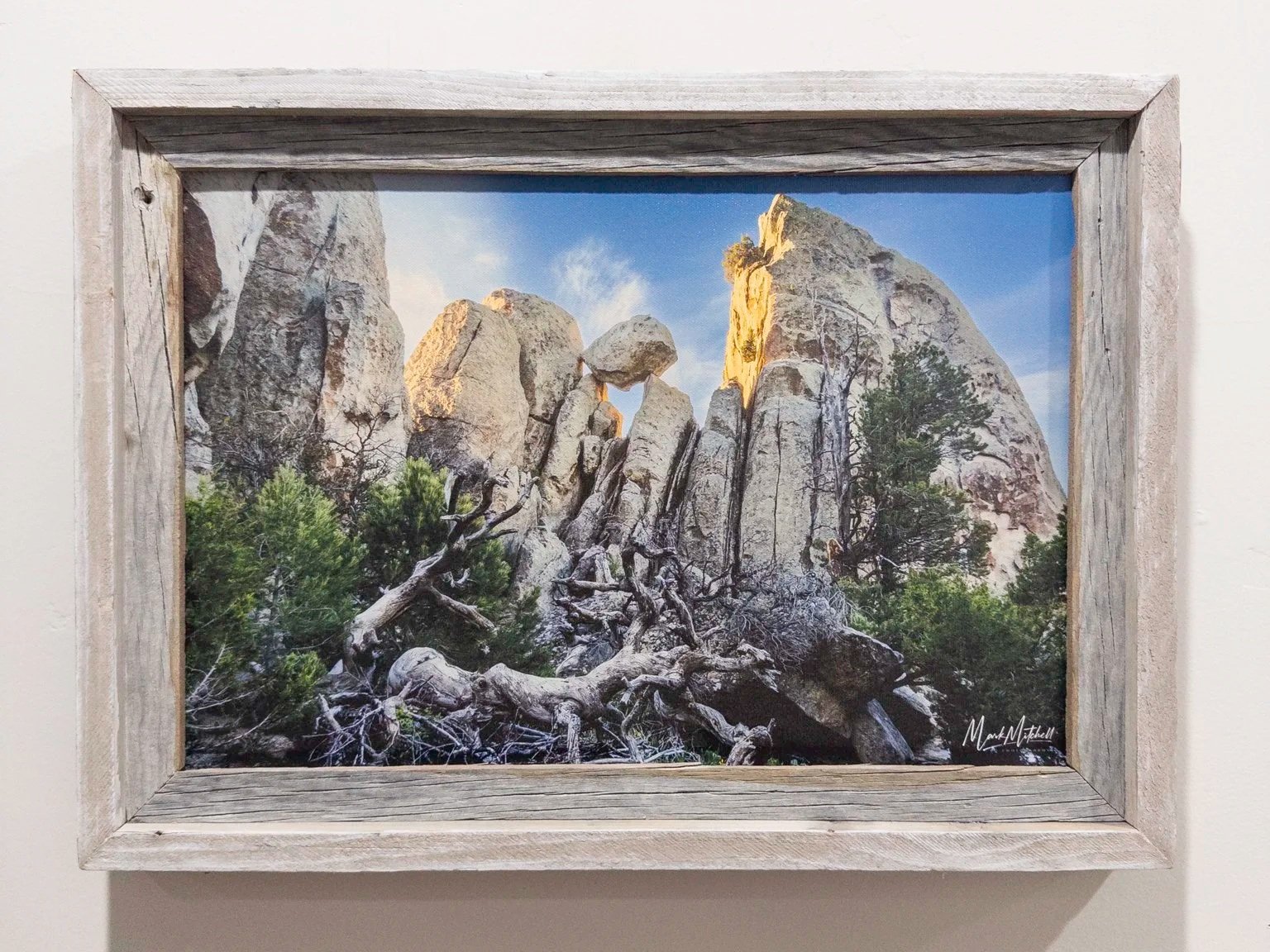 20251004-APC_2012.jpg (Copy)