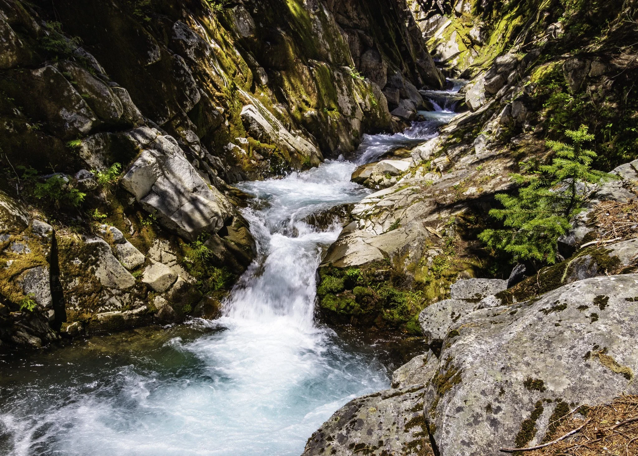 Terraced pools along the hike to Comet Falls | Western Washington Landscape Fine Art Print
