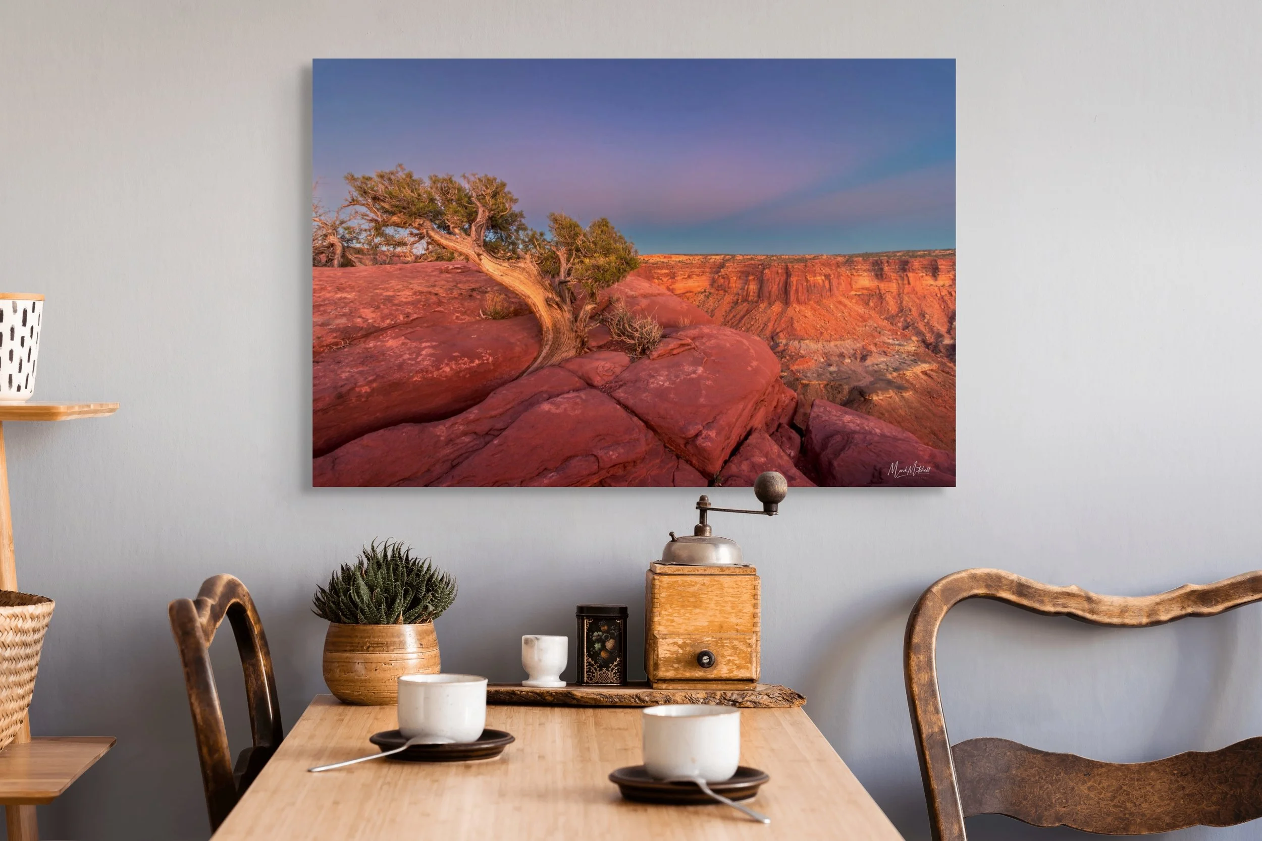 juniper at canyonlands national park-full.jpg