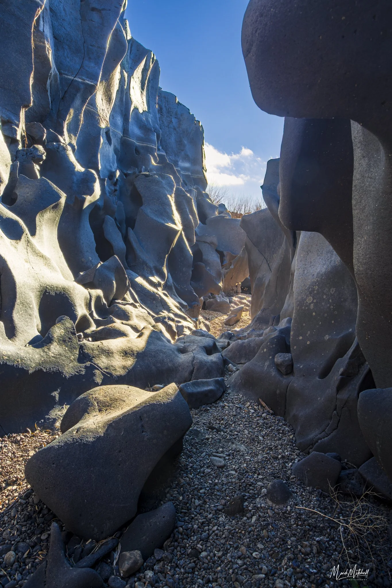 Sunny Black Magic Canyon