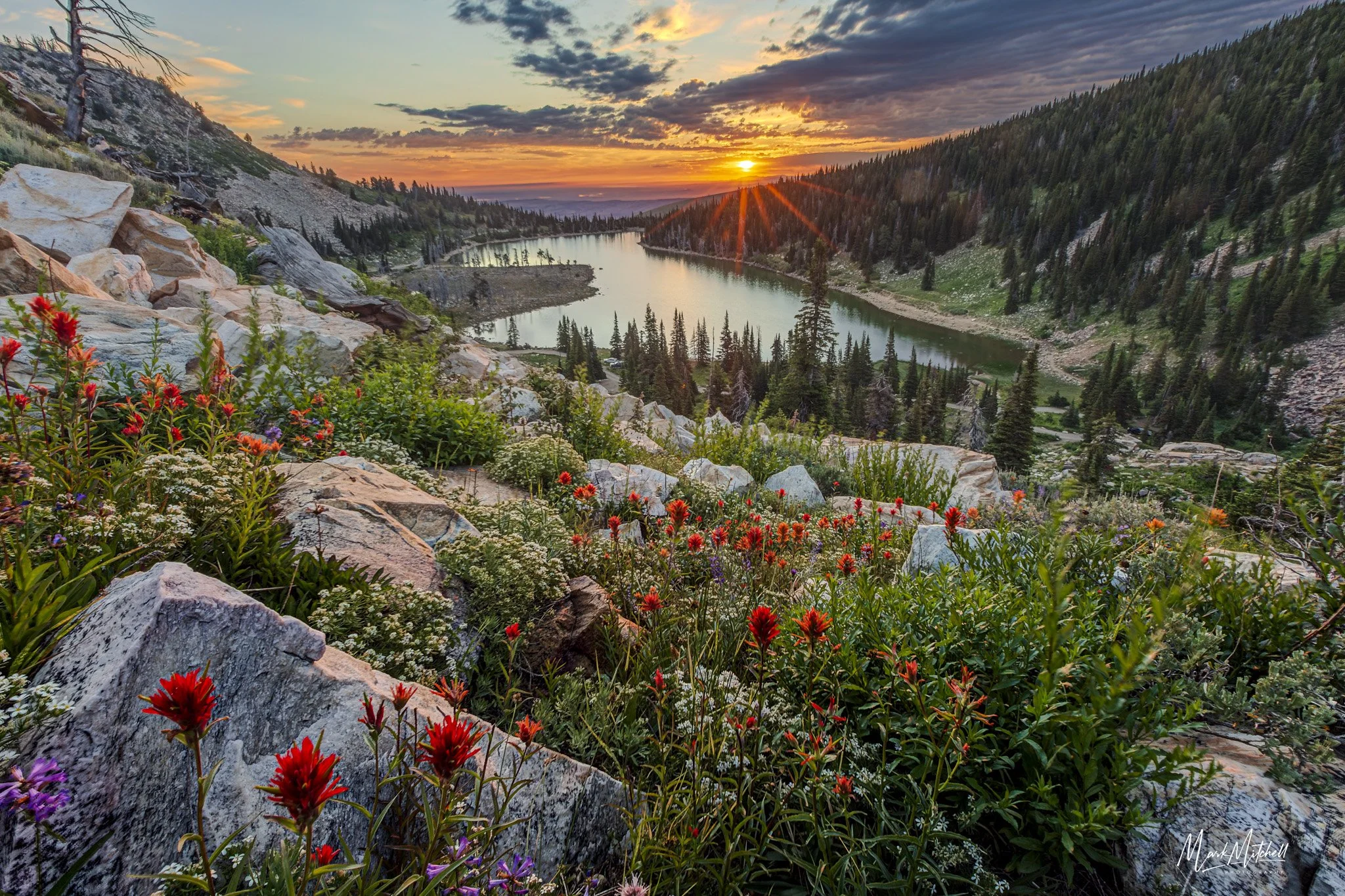 Granite and Wildflowers at Lake Cleveland.jpg
