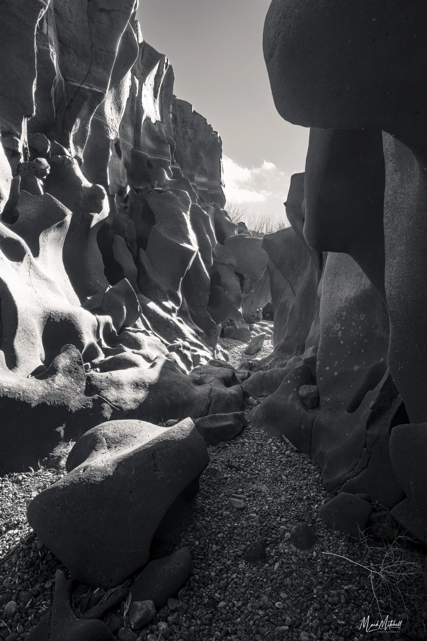 Sunny Black Magic Canyon B&W