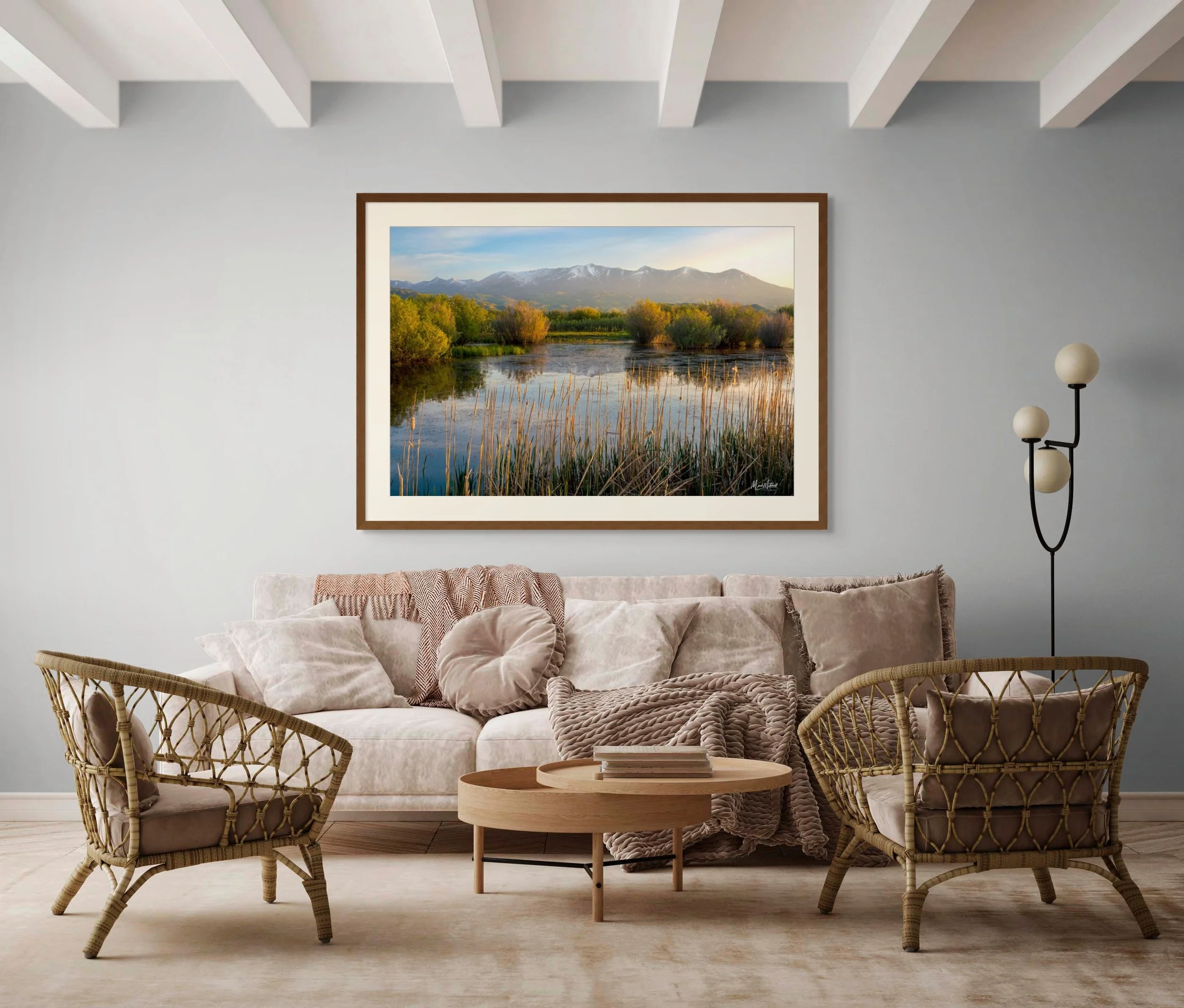 marsh_and_mountains_on_the_camas_prairie (1).jpg