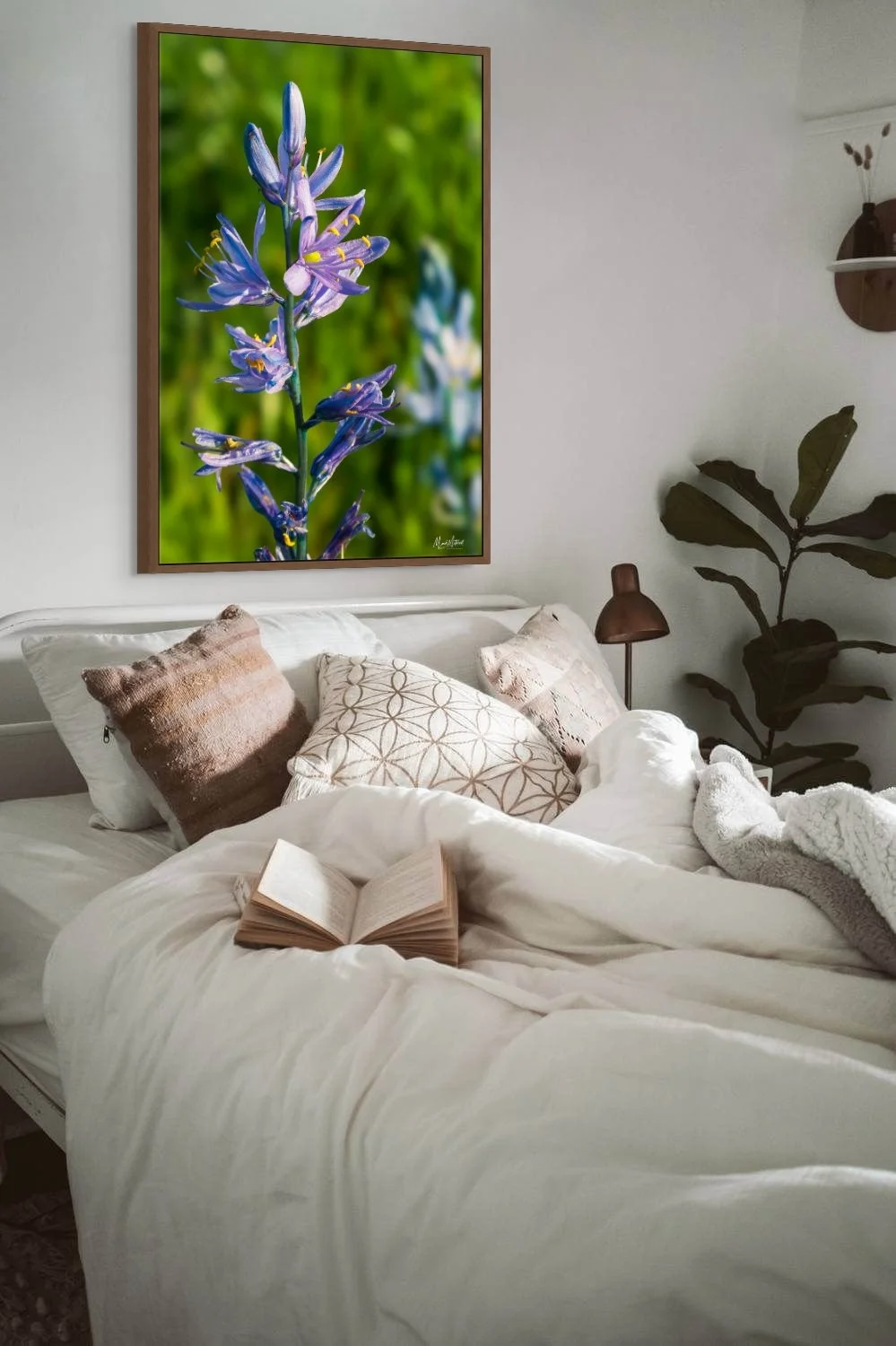 camas lily in bloom-full.jpg