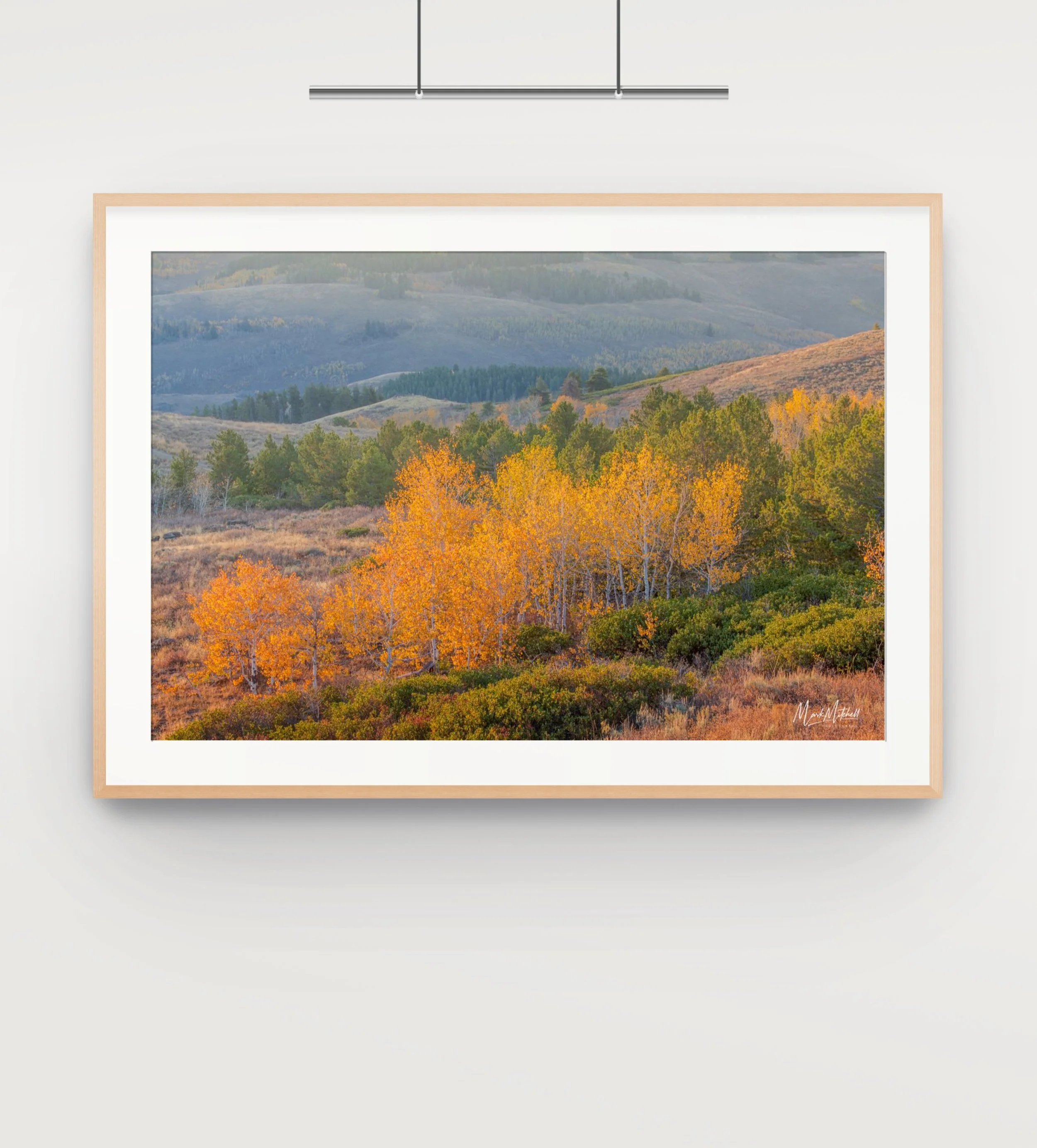 Pines and Aspens in the South Hills_10-full.jpg