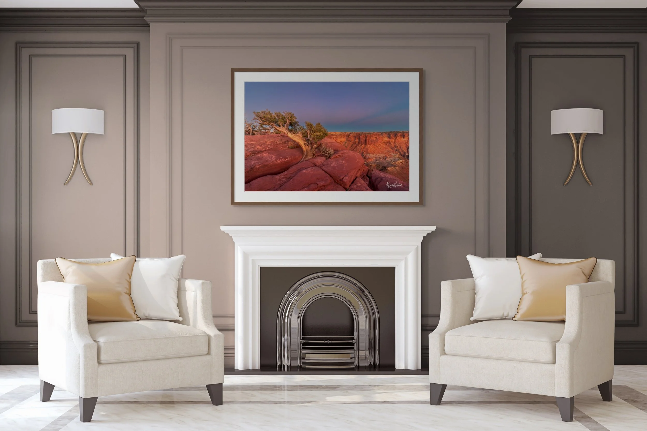 juniper at canyonlands national park-full (1).jpg