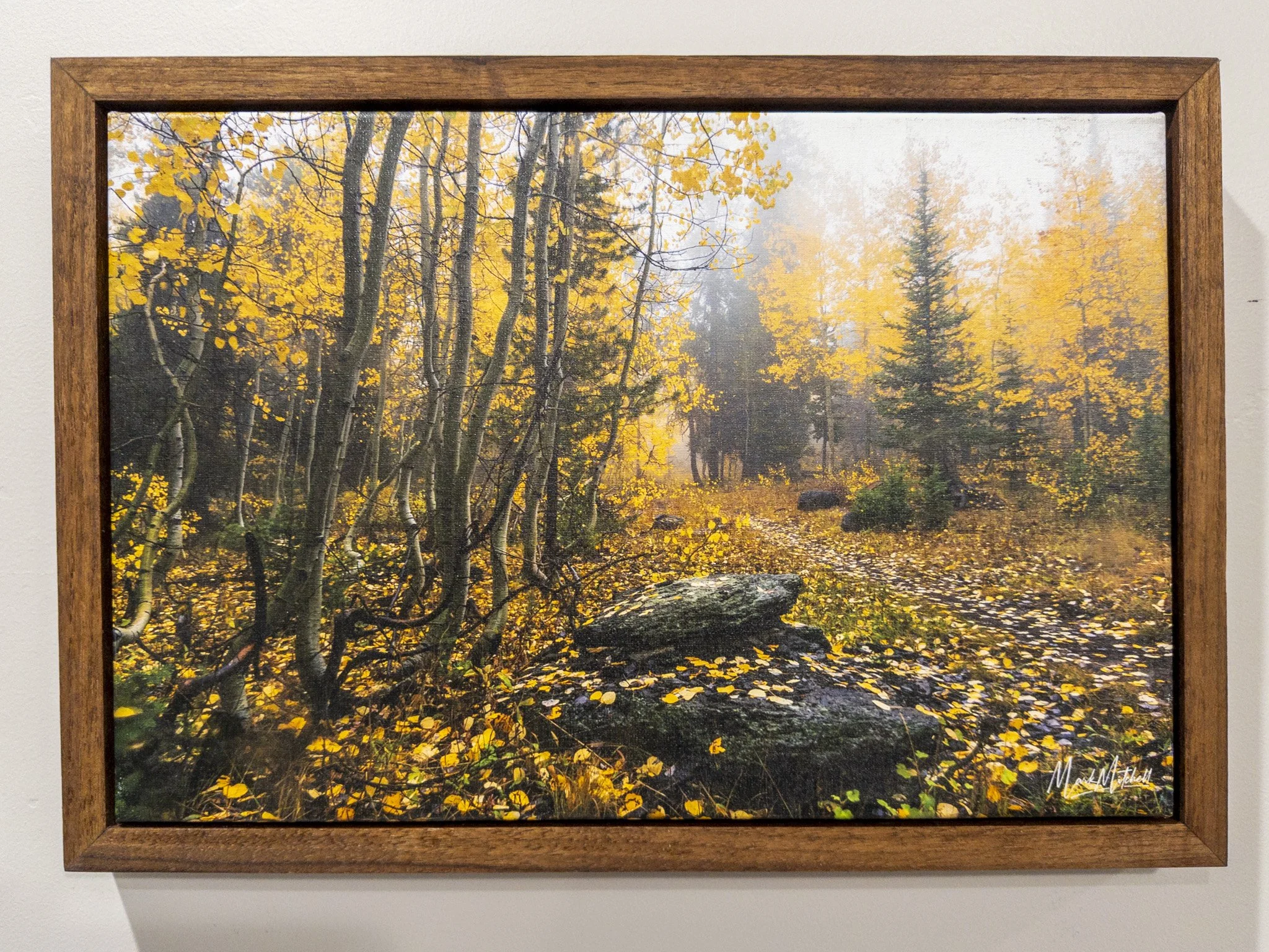 Autumn Gold and Green | Southern Idaho Landscape Fine Art Print