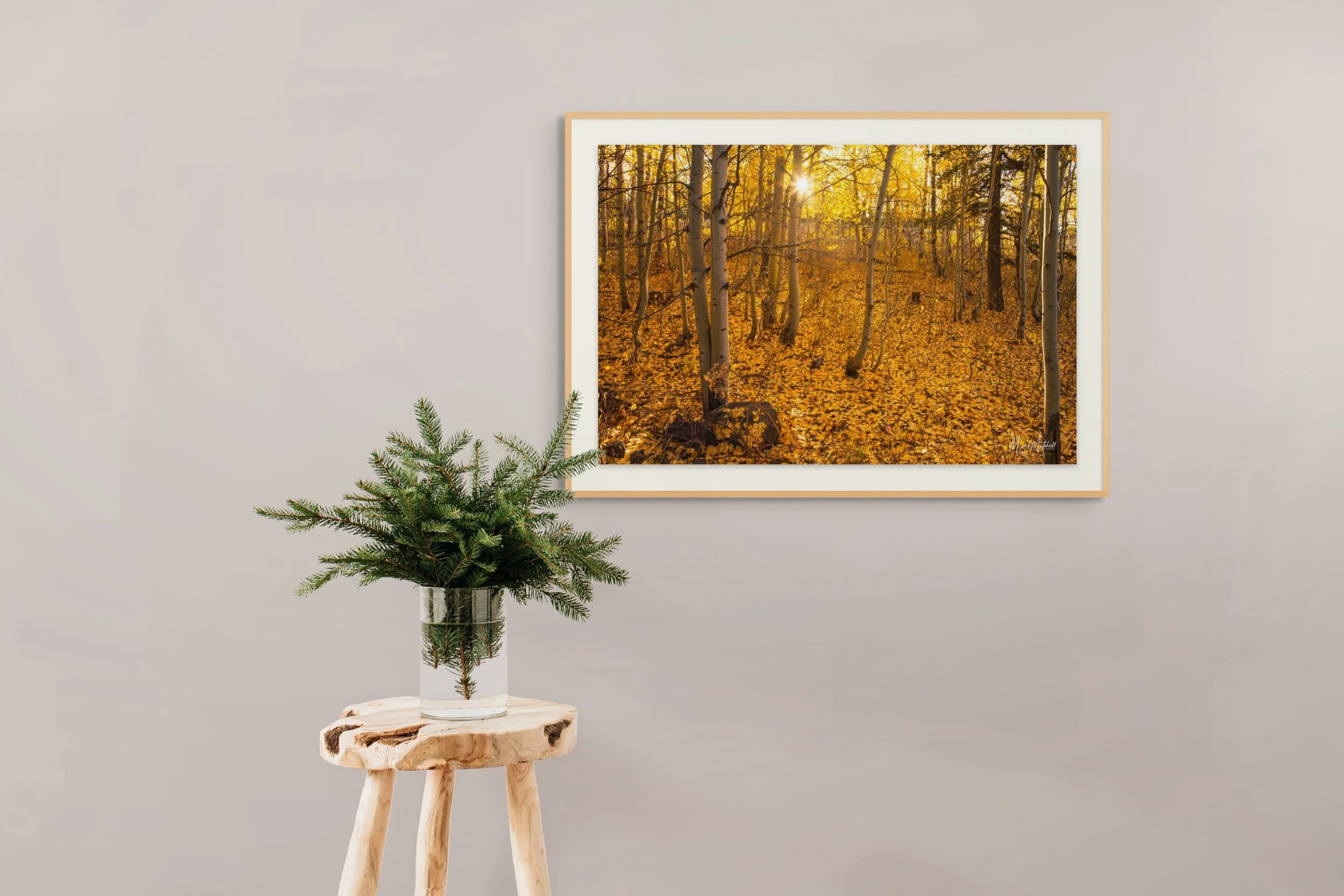 aspen grove sunrise-full (2).jpg