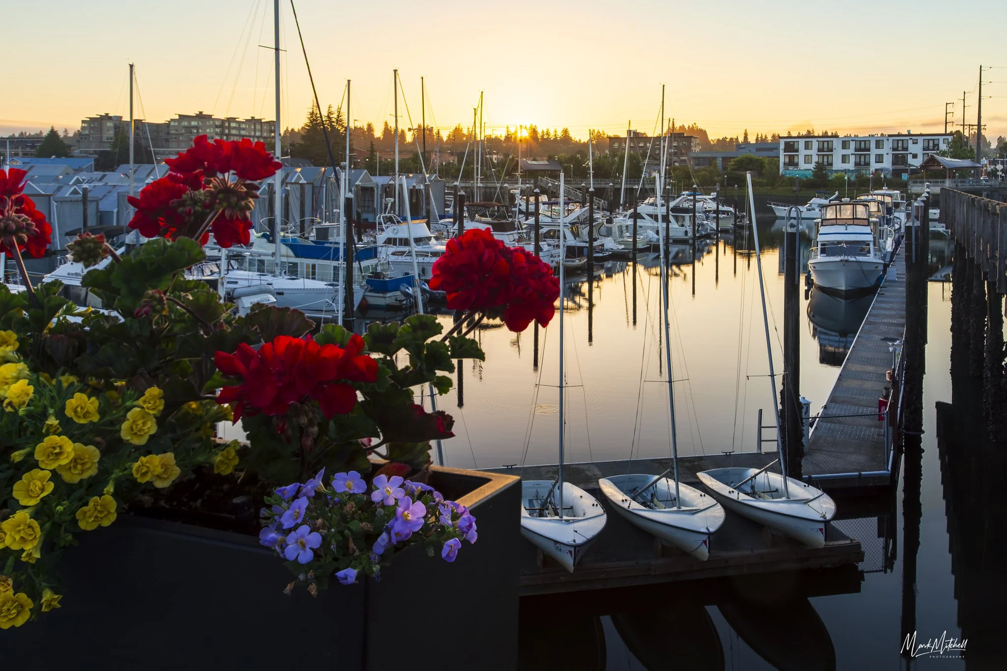 Sunrise at low tide at Percival Landing | Olympia, Washington